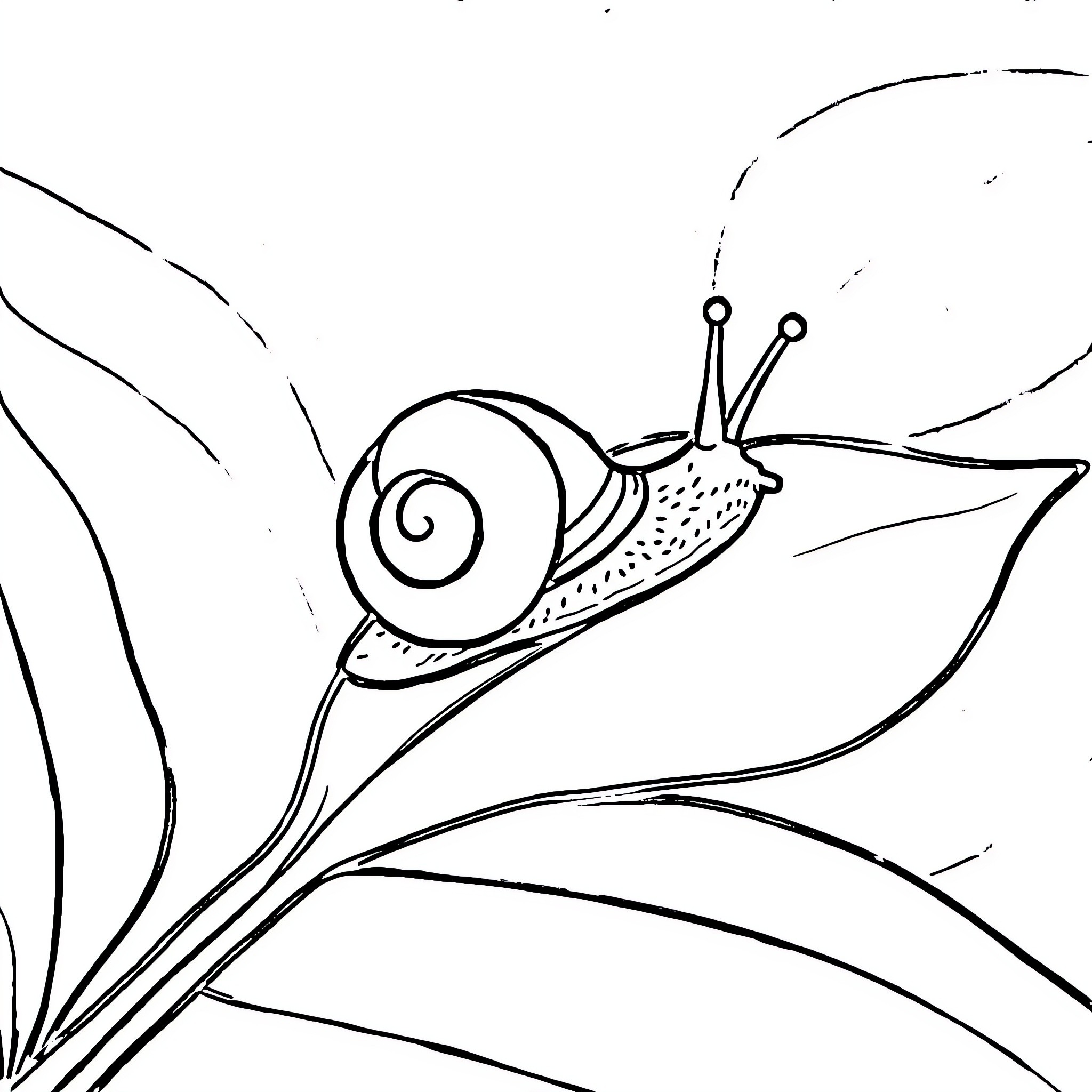 Snail crawling through lush foliage Coloring Page (free black-and-white line drawing printable PDF for all, from beginners to advanced learners, including children, teens, adults, and seniors)