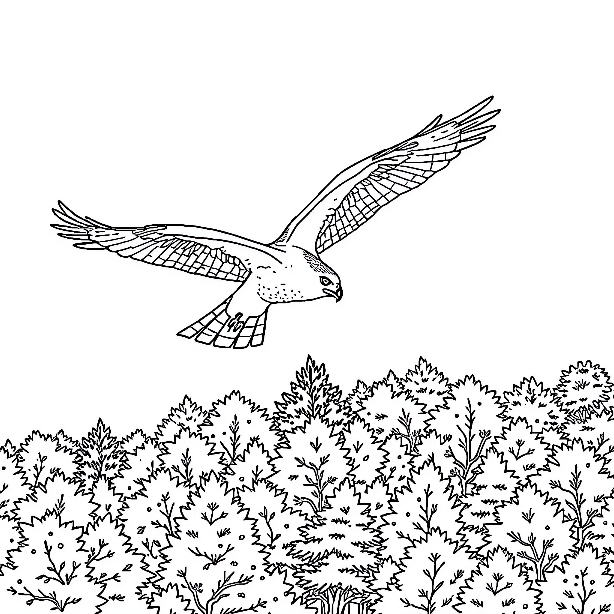 Hawk soaring gracefully over a lush forest Coloring Page (free black-and-white line drawing printable PDF for all, from beginners to advanced learners, including children, teens, adults, and seniors)
