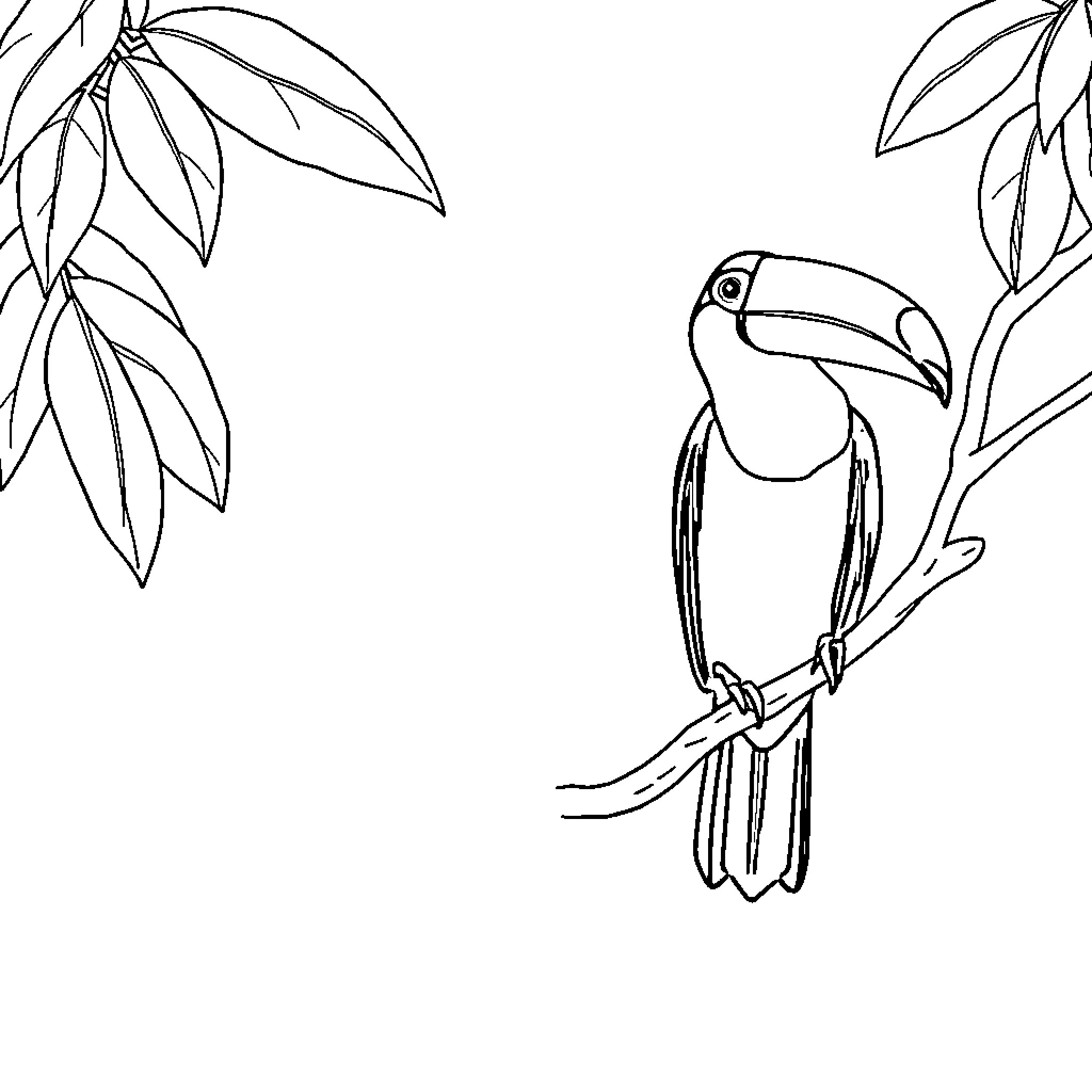 Toucan perched in tropical foliage Coloring Page (free black-and-white line drawing printable PDF for all, from beginners to advanced learners, including children, teens, adults, and seniors)