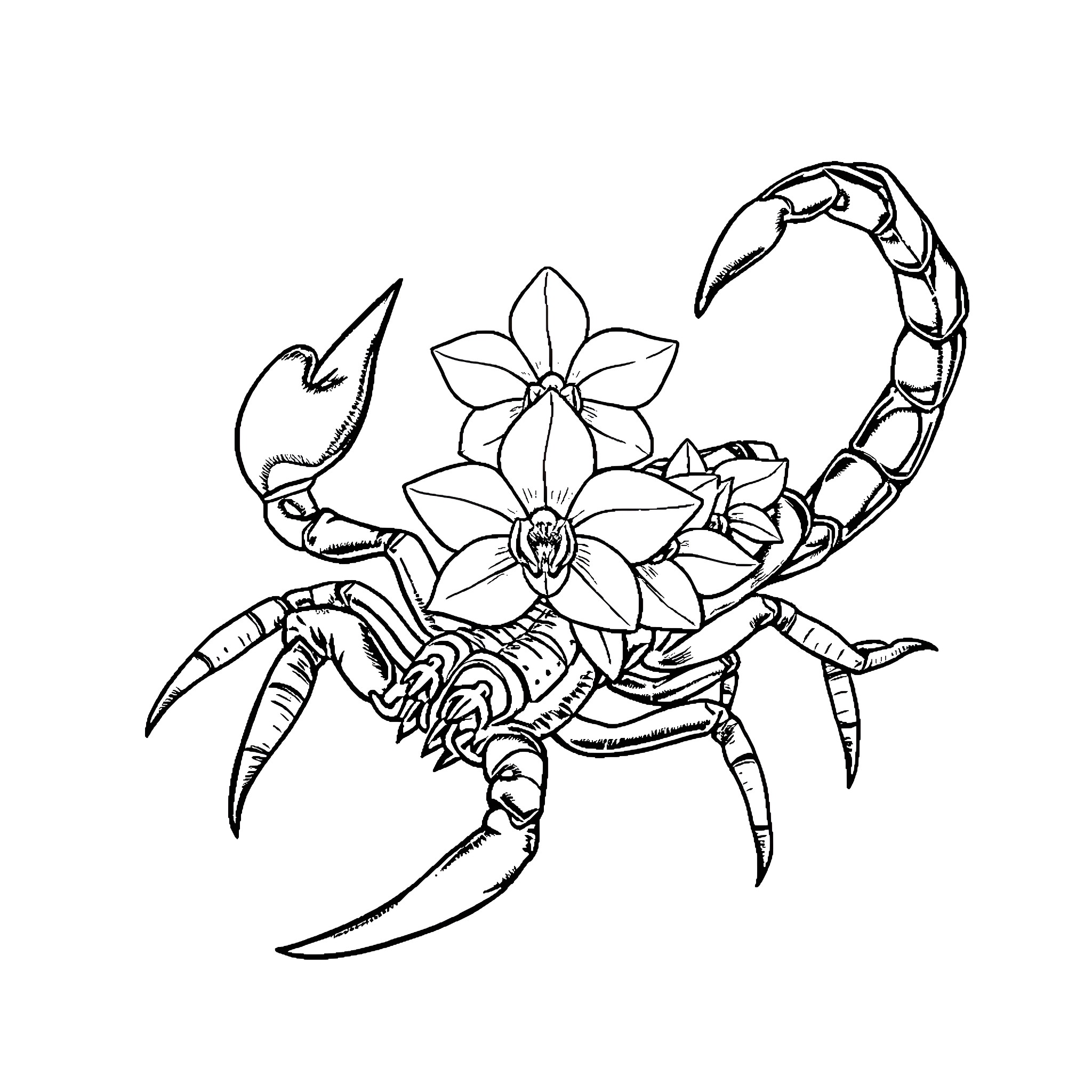 Scorpion with floral accents Coloring Page (free black-and-white line drawing printable PDF for all, from beginners to advanced learners, including children, teens, adults, and seniors)
