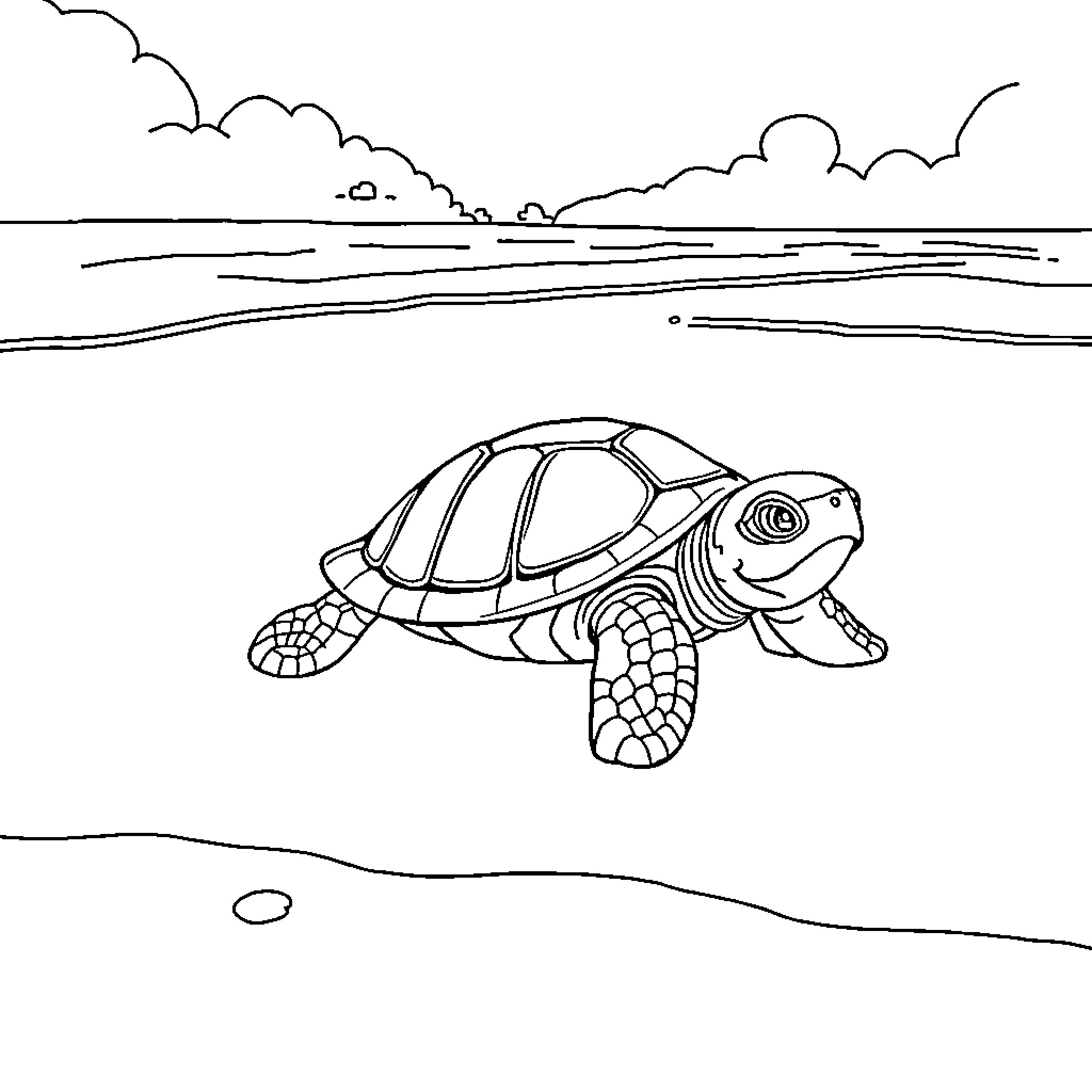 Turtle swimming in the ocean Coloring Page (free black-and-white line drawing printable PDF for all, from beginners to advanced learners, including children, teens, adults, and seniors)