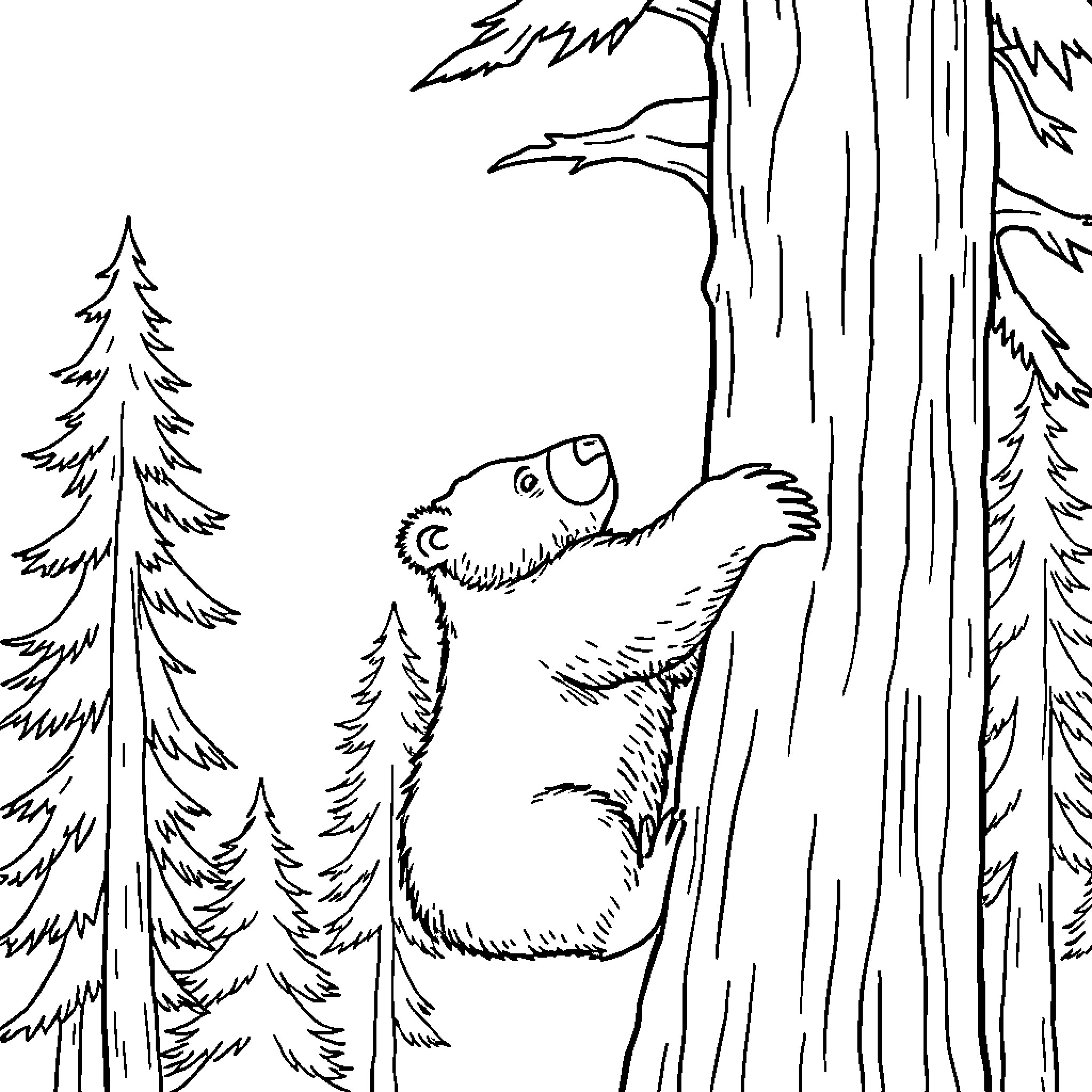 Bear climbing on tree trunk in forest Coloring Page (free black-and-white line drawing printable PDF for all, from beginners to advanced learners, including children, teens, adults, and seniors)