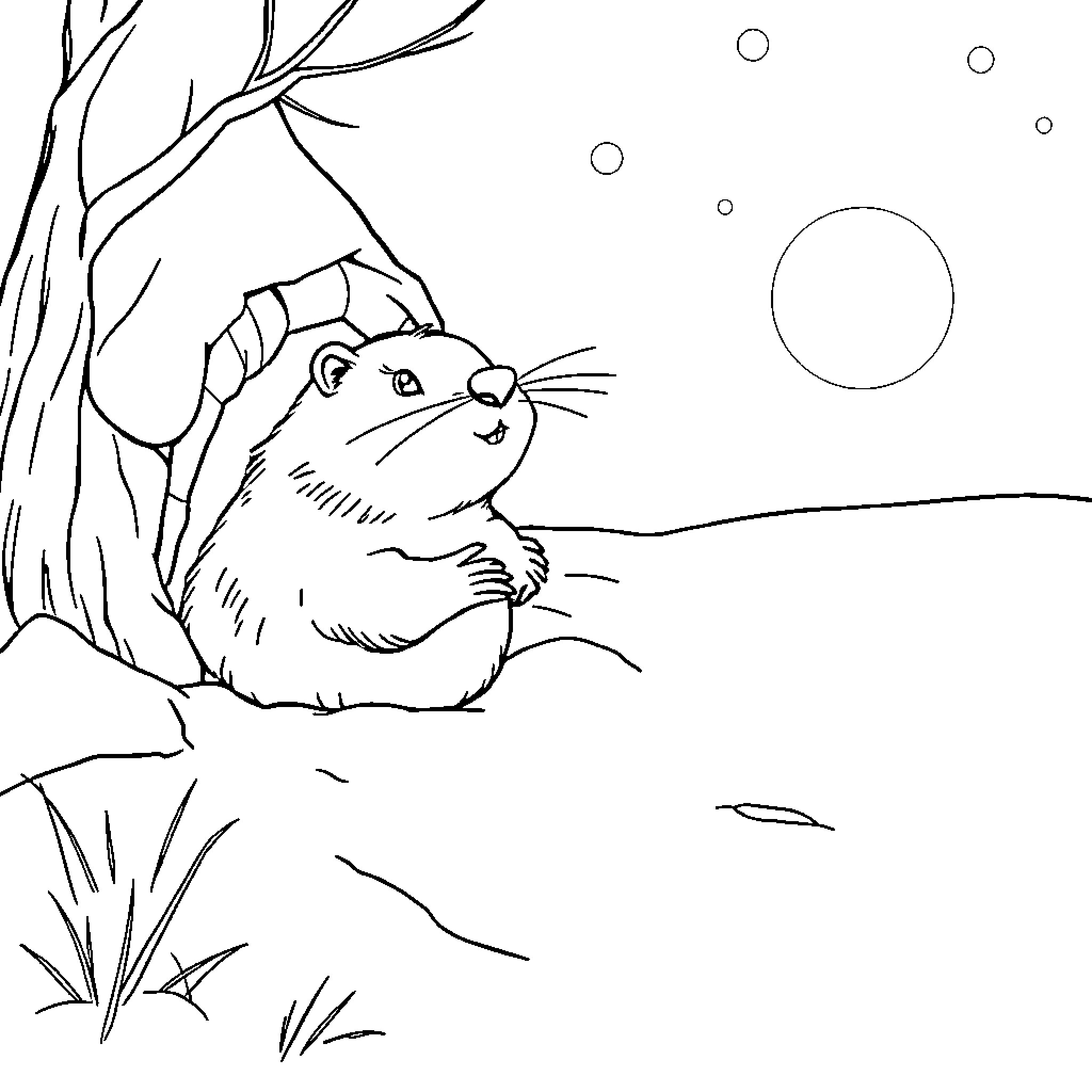 Groundhog observing snowy landscape Coloring Page (free black-and-white line drawing printable PDF for all, from beginners to advanced learners, including children, teens, adults, and seniors)