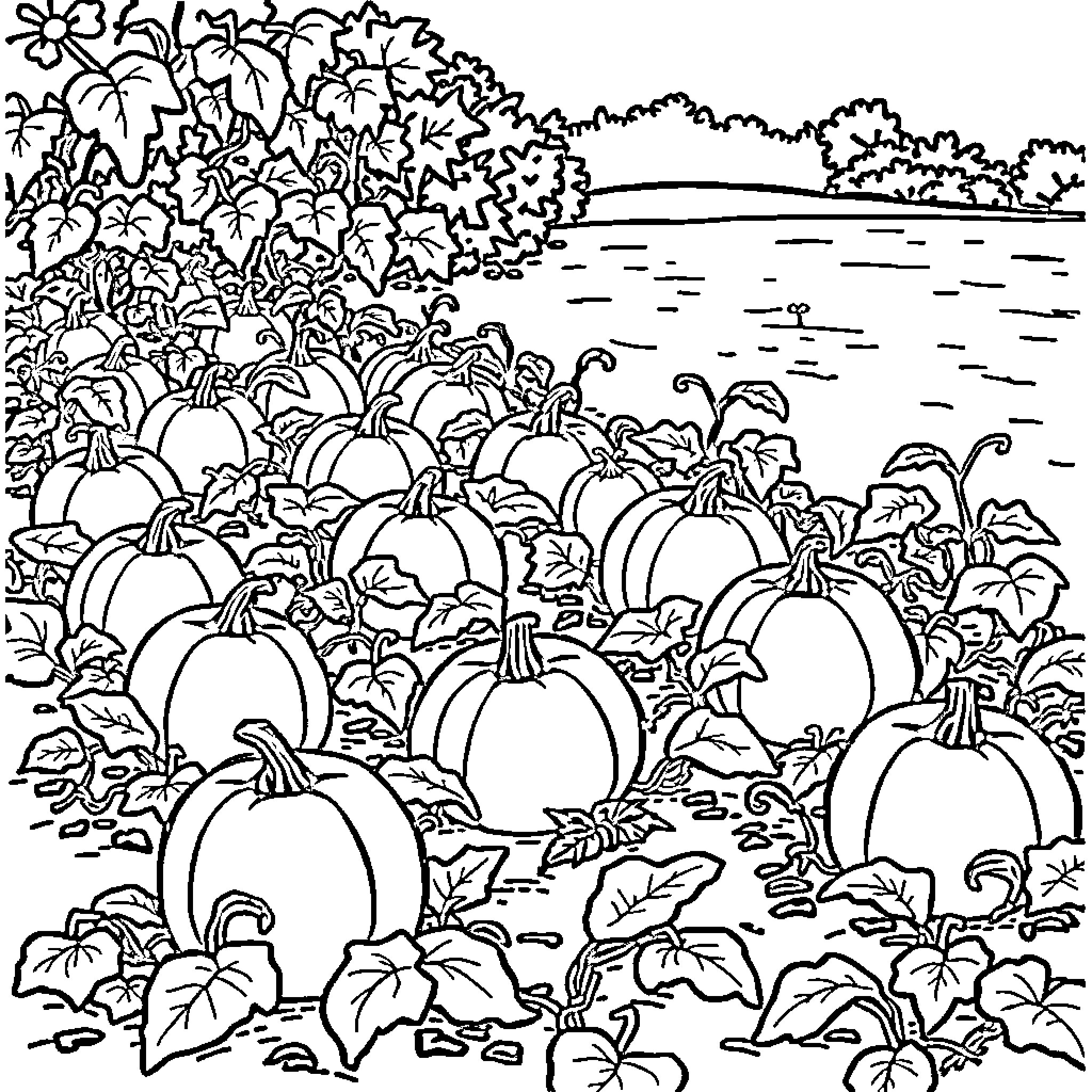 Pumpkin patch filled with autumn foliage Coloring Page (free black-and-white line drawing printable PDF for all, from beginners to advanced learners, including children, teens, adults, and seniors)