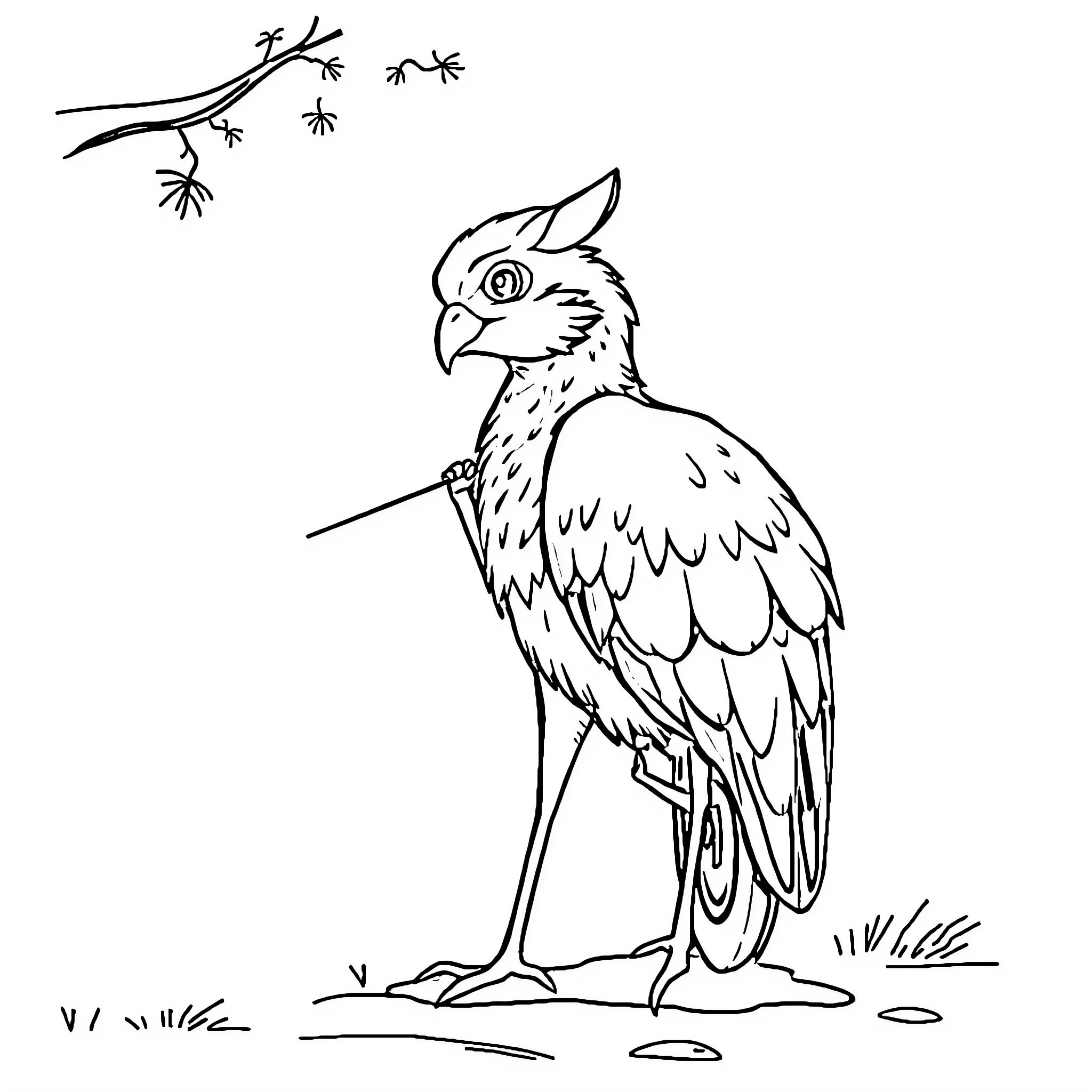 Bicycle-riding bird in nature Coloring Page (free black-and-white line drawing printable PDF for all, from beginners to advanced learners, including children, teens, adults, and seniors)