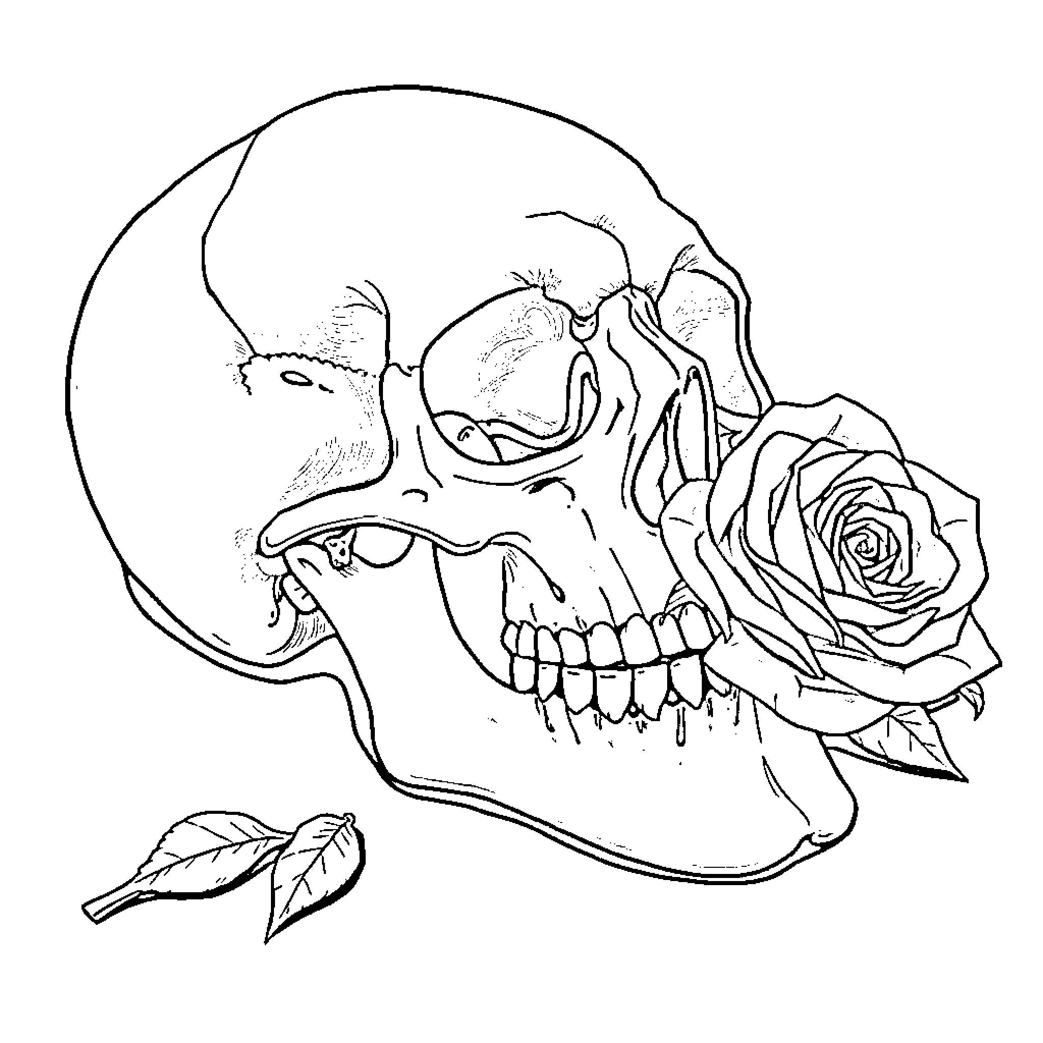 Skull with Rose in Mouth Coloring Page (free black-and-white line drawing printable PDF for all, from beginners to advanced learners, including children, teens, adults, and seniors)