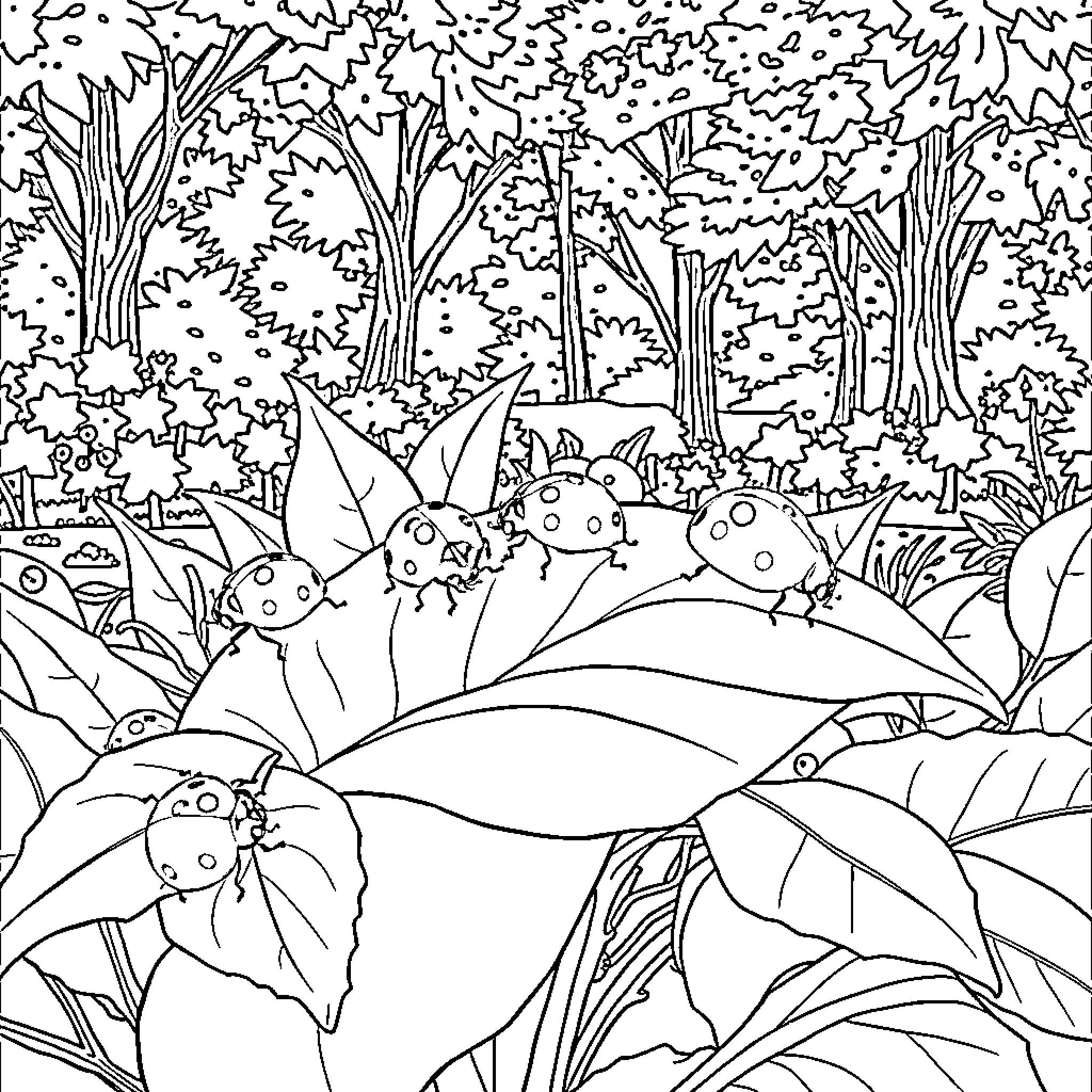 Ladybugs exploring a whimsical forest landscape Coloring Page (free black-and-white line drawing printable PDF for all, from beginners to advanced learners, including children, teens, adults, and seniors)