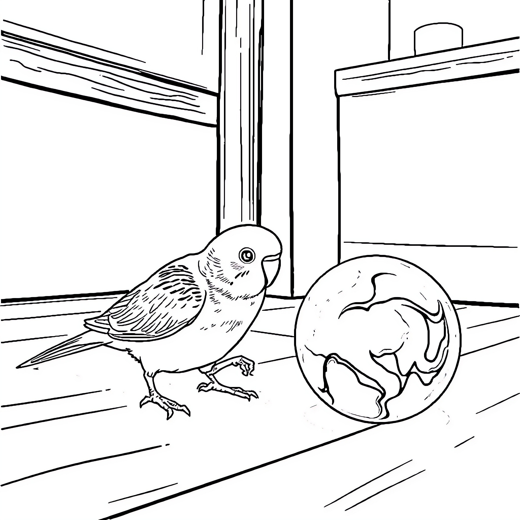 Budgie observing the world through a window Coloring Page (free black-and-white line drawing printable PDF for all, from beginners to advanced learners, including children, teens, adults, and seniors)