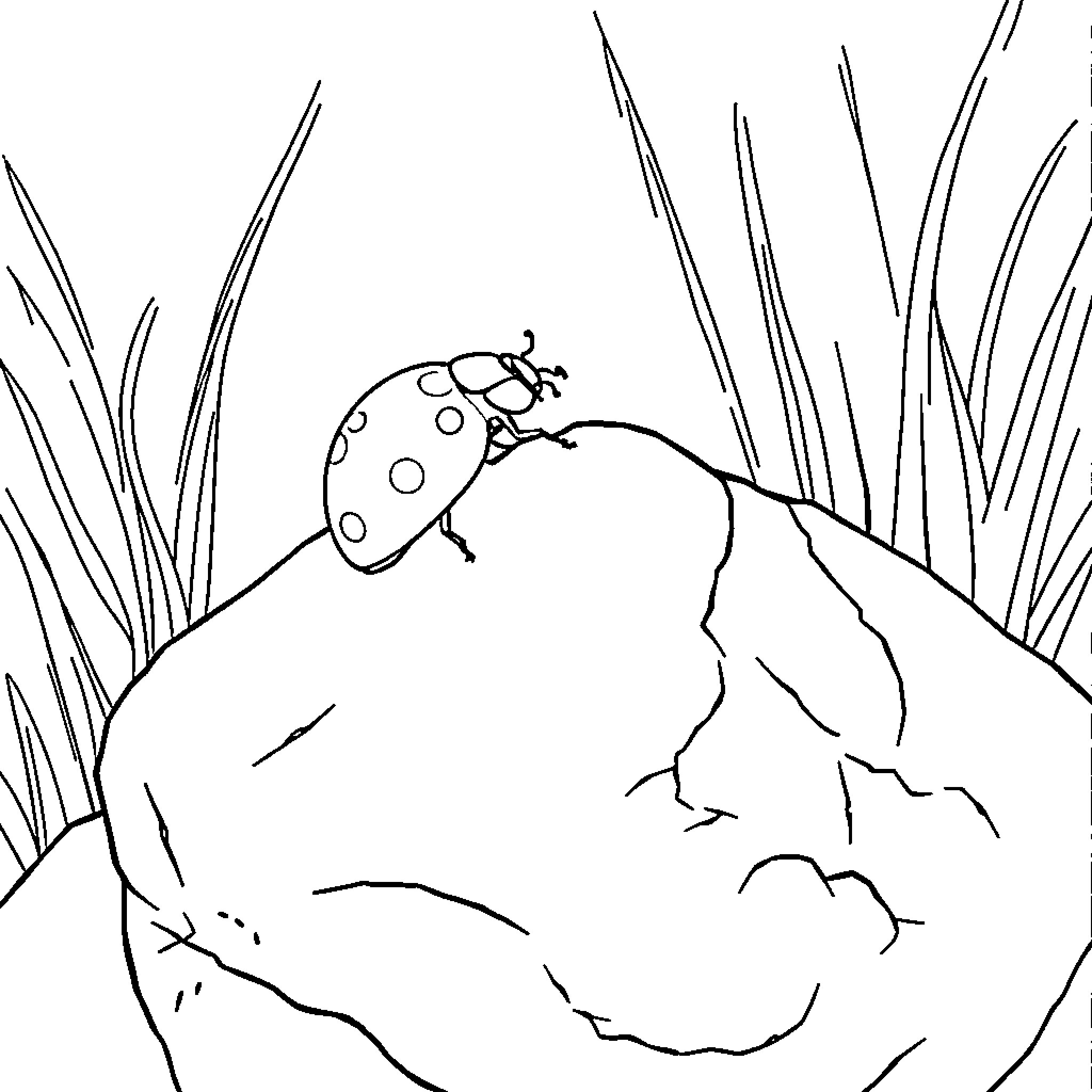 Ladybug resting on a rock surrounded by grass blades Coloring Page (free black-and-white line drawing printable PDF for all, from beginners to advanced learners, including children, teens, adults, and seniors)