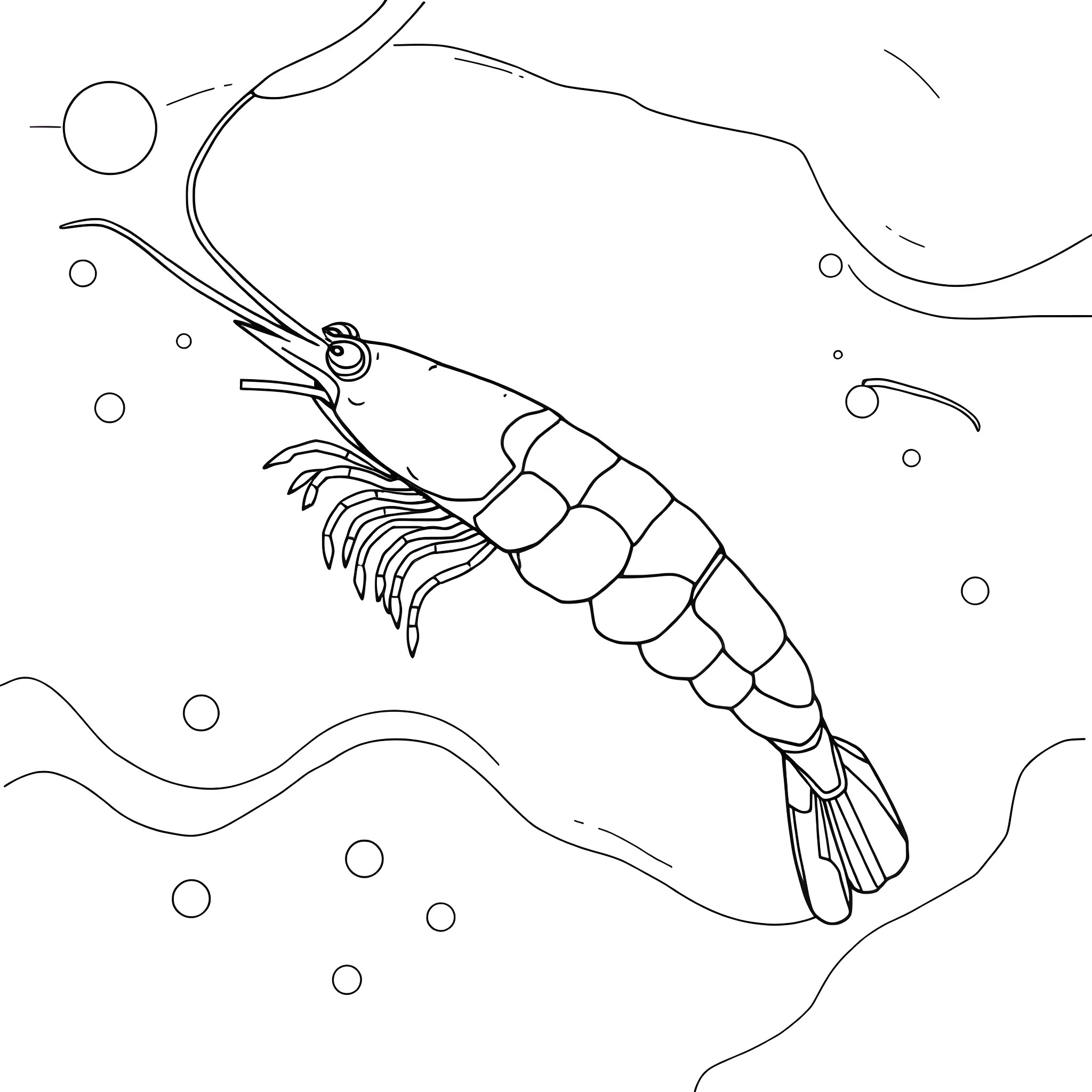 Shrimp swimming gracefully in the underwater world Coloring Page (free black-and-white line drawing printable PDF for all, from beginners to advanced learners, including children, teens, adults, and seniors)