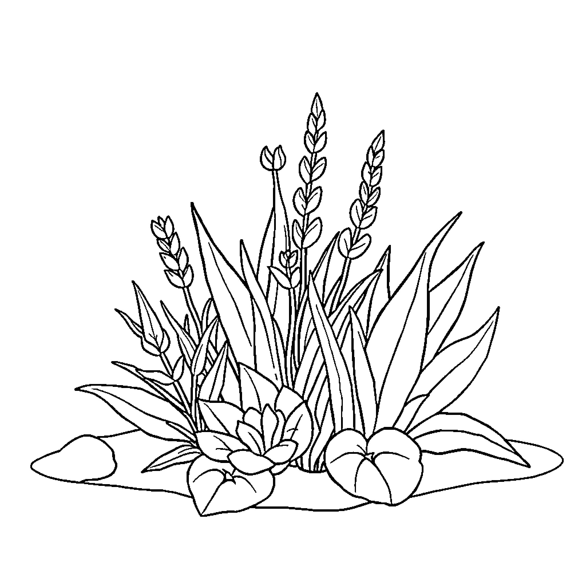 Botanical Arrangement of Foliage and Flowers Coloring Page (free black-and-white line drawing printable PDF for all, from beginners to advanced learners, including children, teens, adults, and seniors)