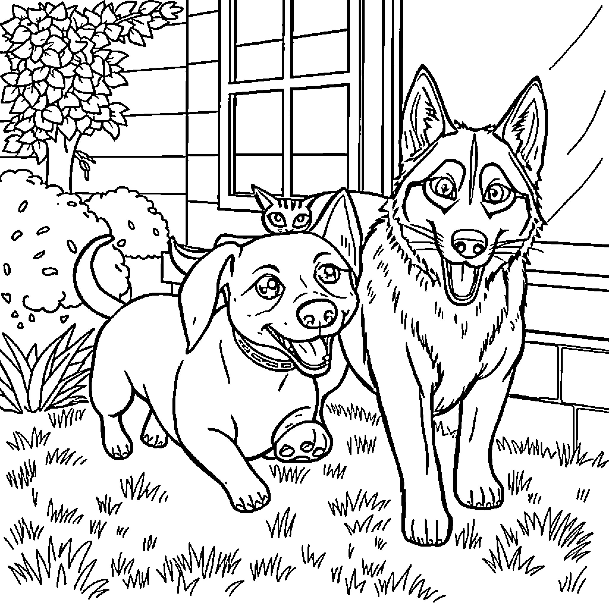 Dachshund and Husky playing outdoors by a window Coloring Page (free black-and-white line drawing printable PDF for all, from beginners to advanced learners, including children, teens, adults, and seniors)