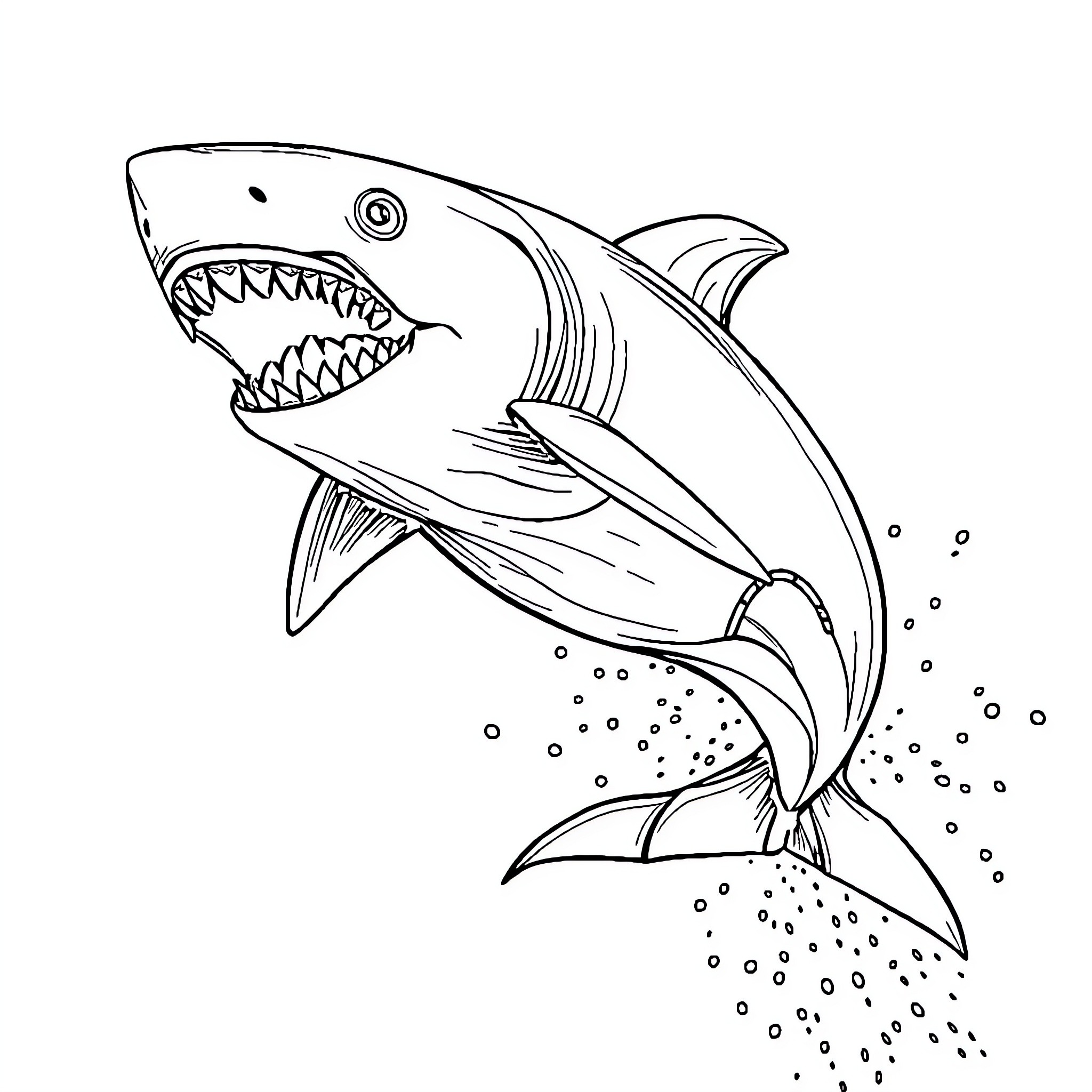 Mark Evans and the Fierce Shark Coloring Page (free black-and-white line drawing printable PDF for all, from beginners to advanced learners, including children, teens, adults, and seniors)