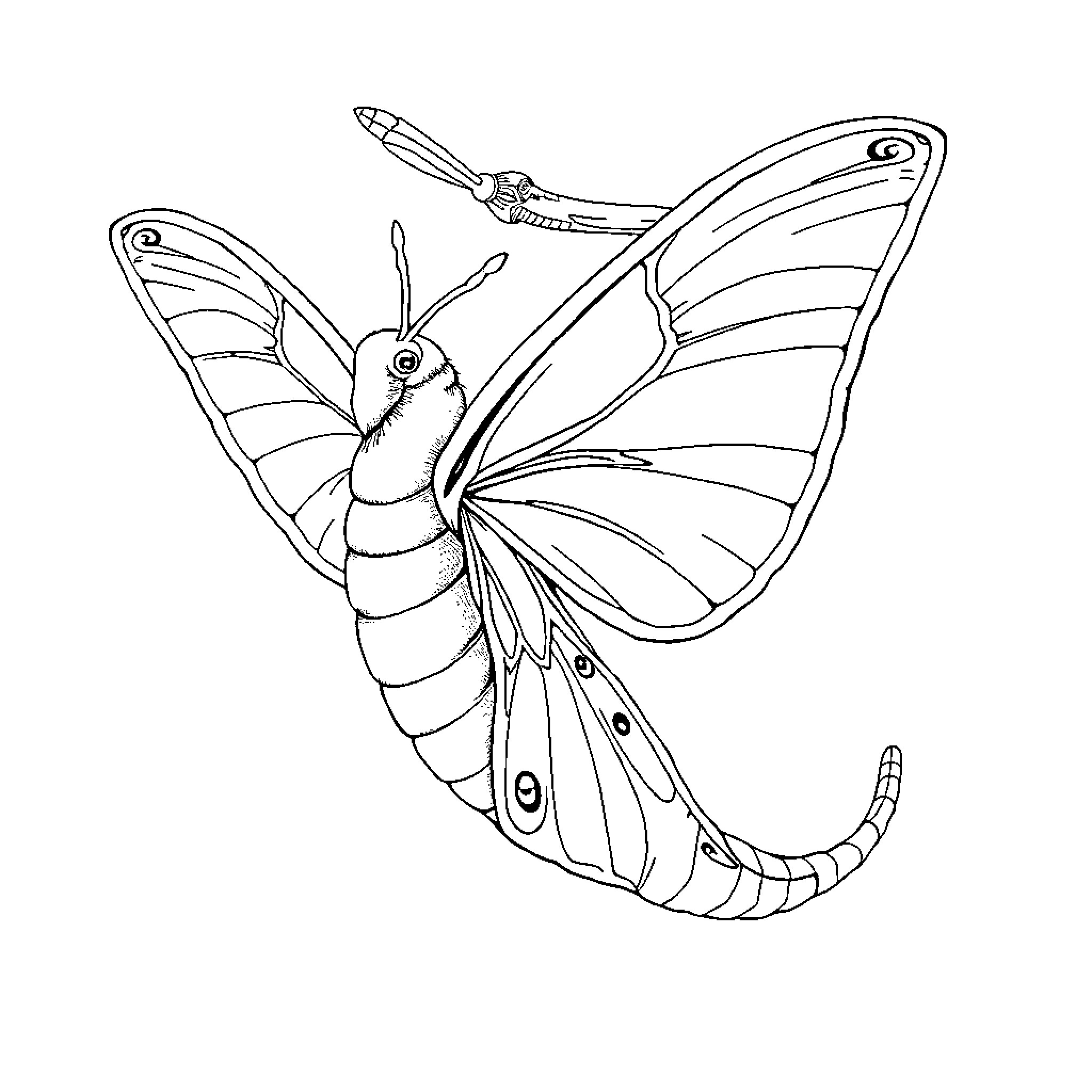 Silk Worm transforming into beautiful butterfly Coloring Page (free black-and-white line drawing printable PDF for all, from beginners to advanced learners, including children, teens, adults, and seniors)