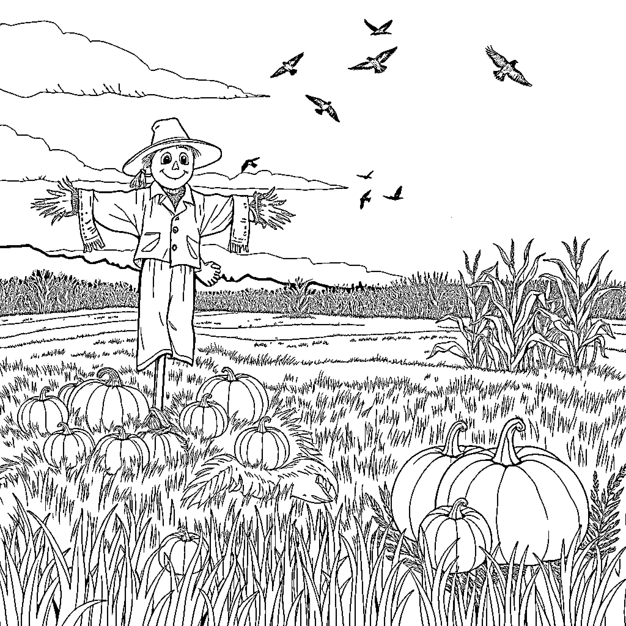 Scarecrow guarding a pumpkin patch in autumn Coloring Page (free black-and-white line drawing printable PDF for all, from beginners to advanced learners, including children, teens, adults, and seniors)