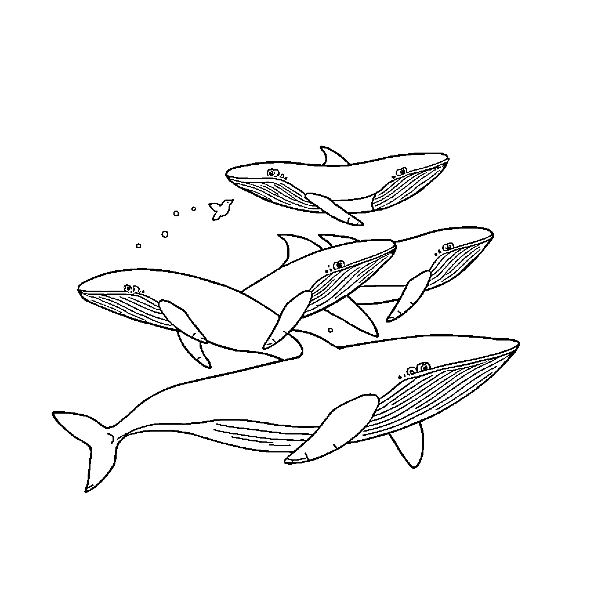 Whale swimming with school of fish Coloring Page (free black-and-white line drawing printable PDF for all, from beginners to advanced learners, including children, teens, adults, and seniors)