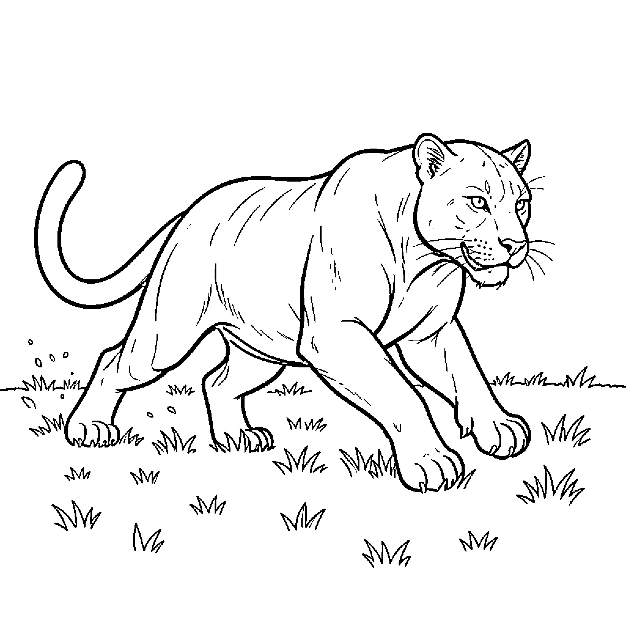 Panther prowling through the grassland Coloring Page (free black-and-white line drawing printable PDF for all, from beginners to advanced learners, including children, teens, adults, and seniors)