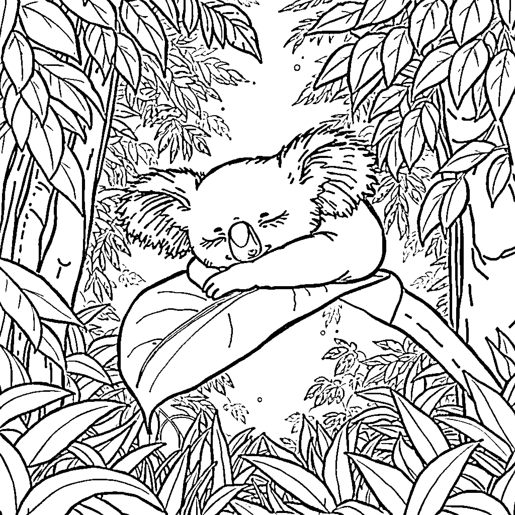 Koala resting peacefully in the lush forest Coloring Page (free black-and-white line drawing printable PDF for all, from beginners to advanced learners, including children, teens, adults, and seniors)
