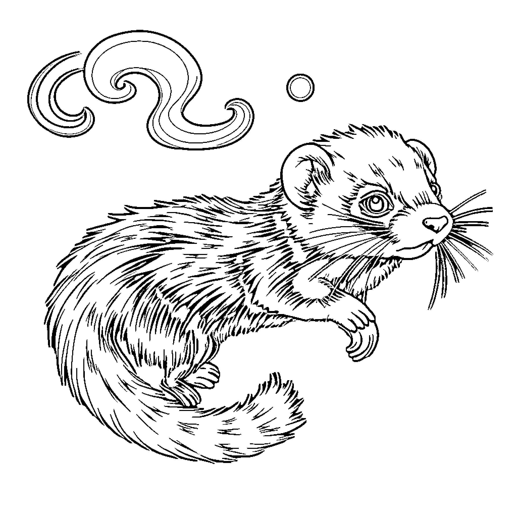 Ferret frolicking in the wind Coloring Page (free black-and-white line drawing printable PDF for all, from beginners to advanced learners, including children, teens, adults, and seniors)
