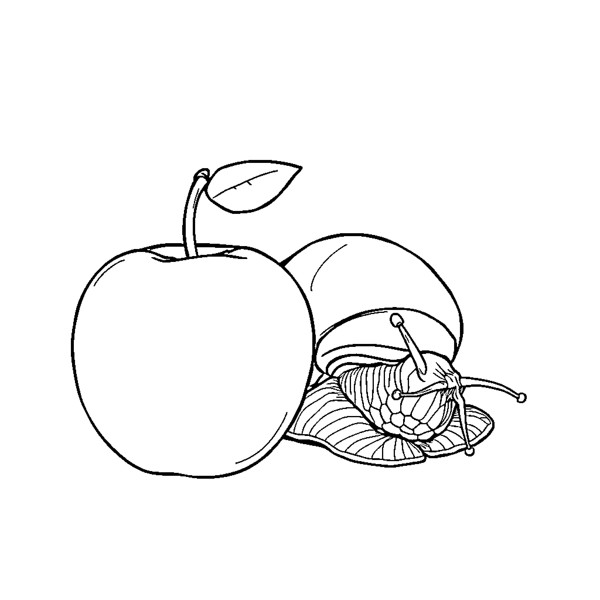 Apple Outline with Butterfly Coloring Page (free black-and-white line drawing printable PDF for all, from beginners to advanced learners, including children, teens, adults, and seniors)