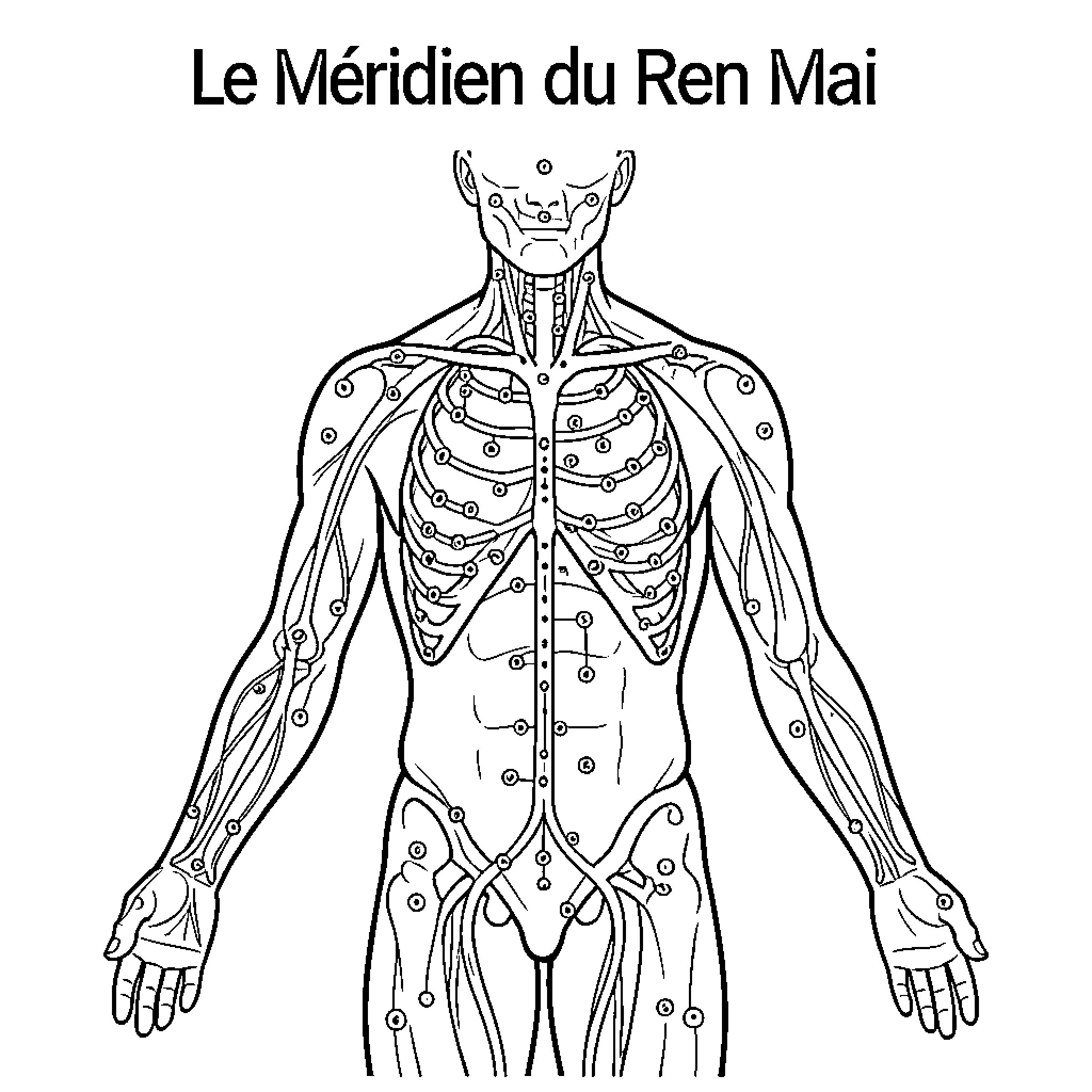 Ren Mai meridian diagram of the human body Coloring Page (free black-and-white line drawing printable PDF for all, from beginners to advanced learners, including children, teens, adults, and seniors)