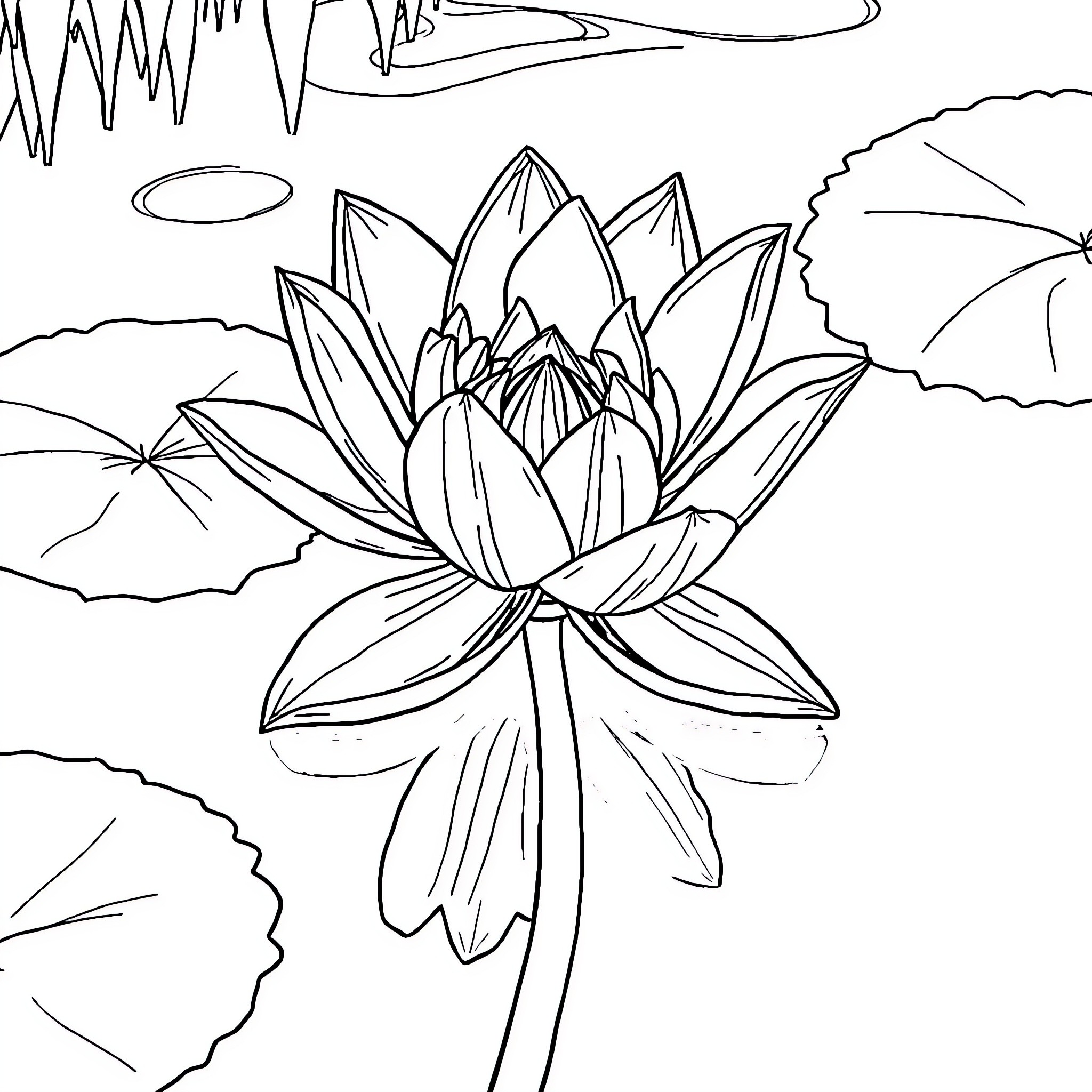 Water Lily Blooming in Serene Pond Coloring Page (free black-and-white line drawing printable PDF for all, from beginners to advanced learners, including children, teens, adults, and seniors)