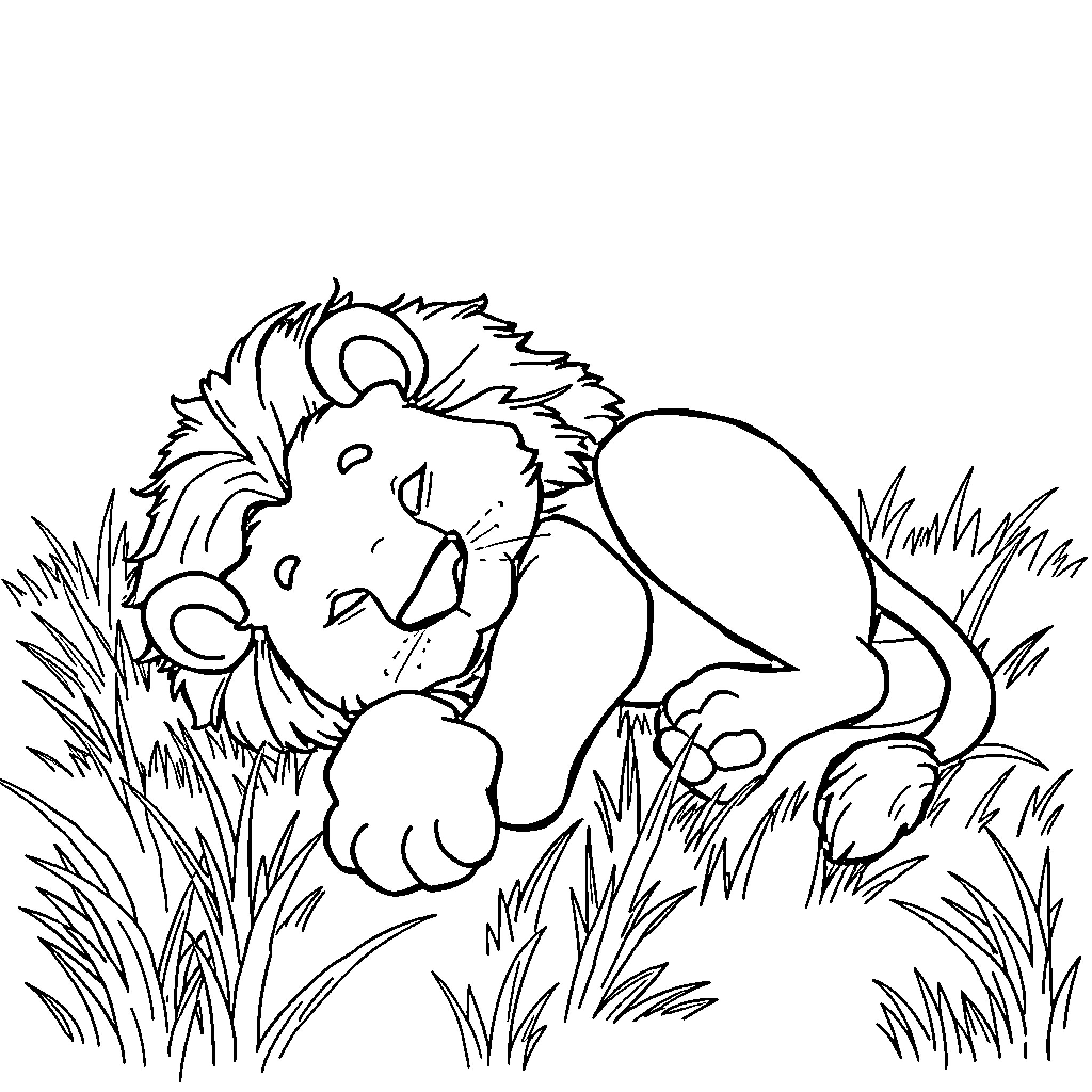 Lion resting peacefully in the wild Coloring Page (free black-and-white line drawing printable PDF for all, from beginners to advanced learners, including children, teens, adults, and seniors)