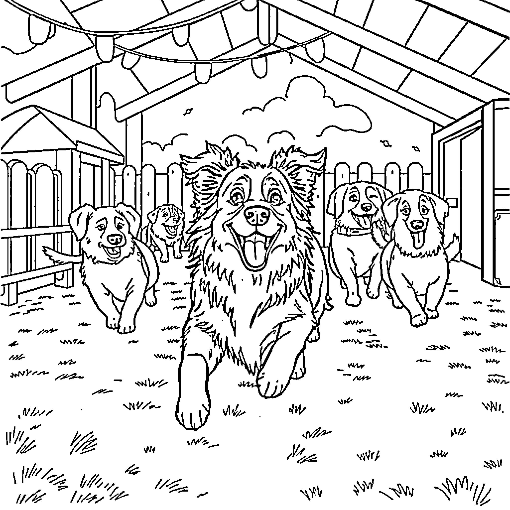 Australian Shepherd dogs playing in the backyard Coloring Page (free black-and-white line drawing printable PDF for all, from beginners to advanced learners, including children, teens, adults, and seniors)