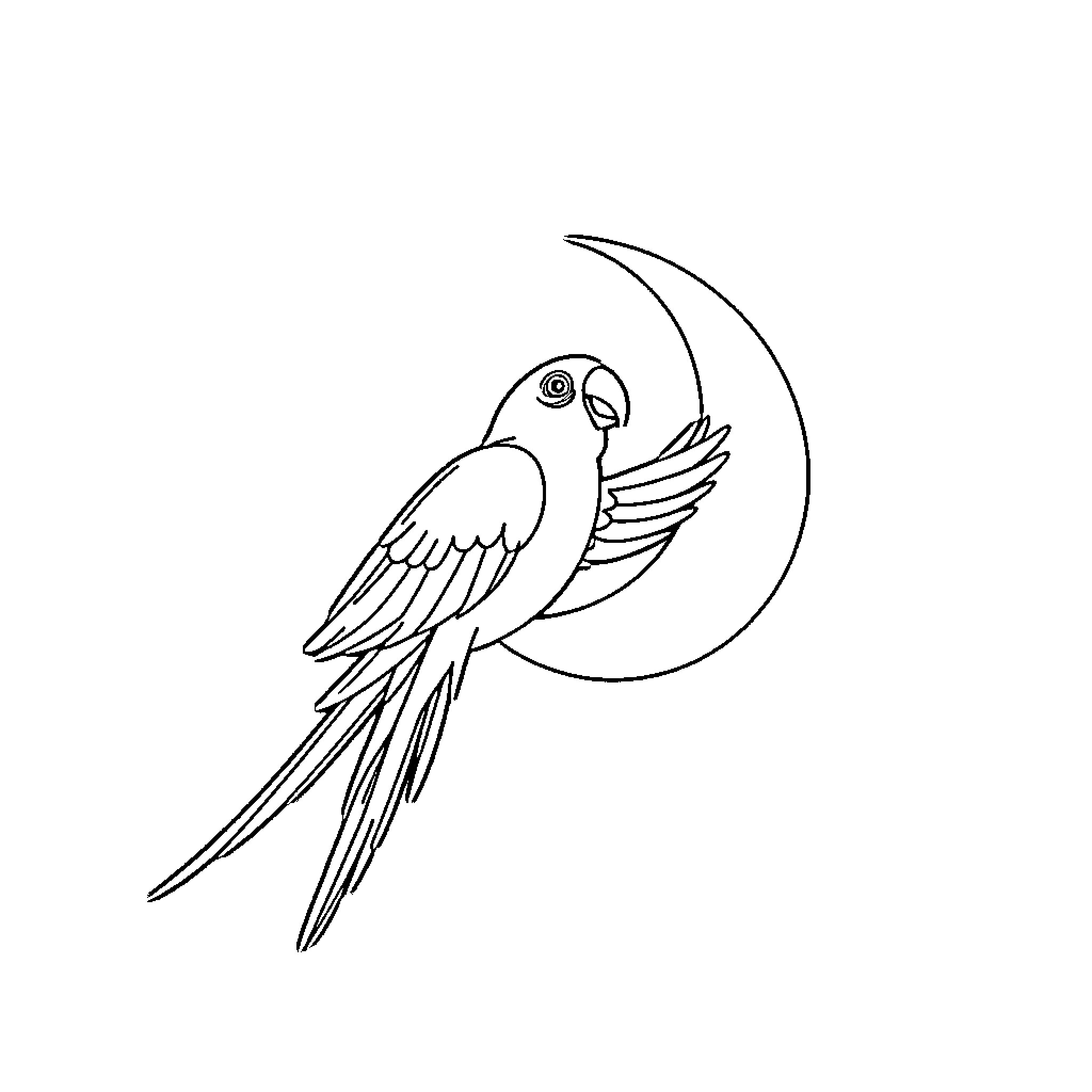 Parrot perched on crescent moon Coloring Page (free black-and-white line drawing printable PDF for all, from beginners to advanced learners, including children, teens, adults, and seniors)