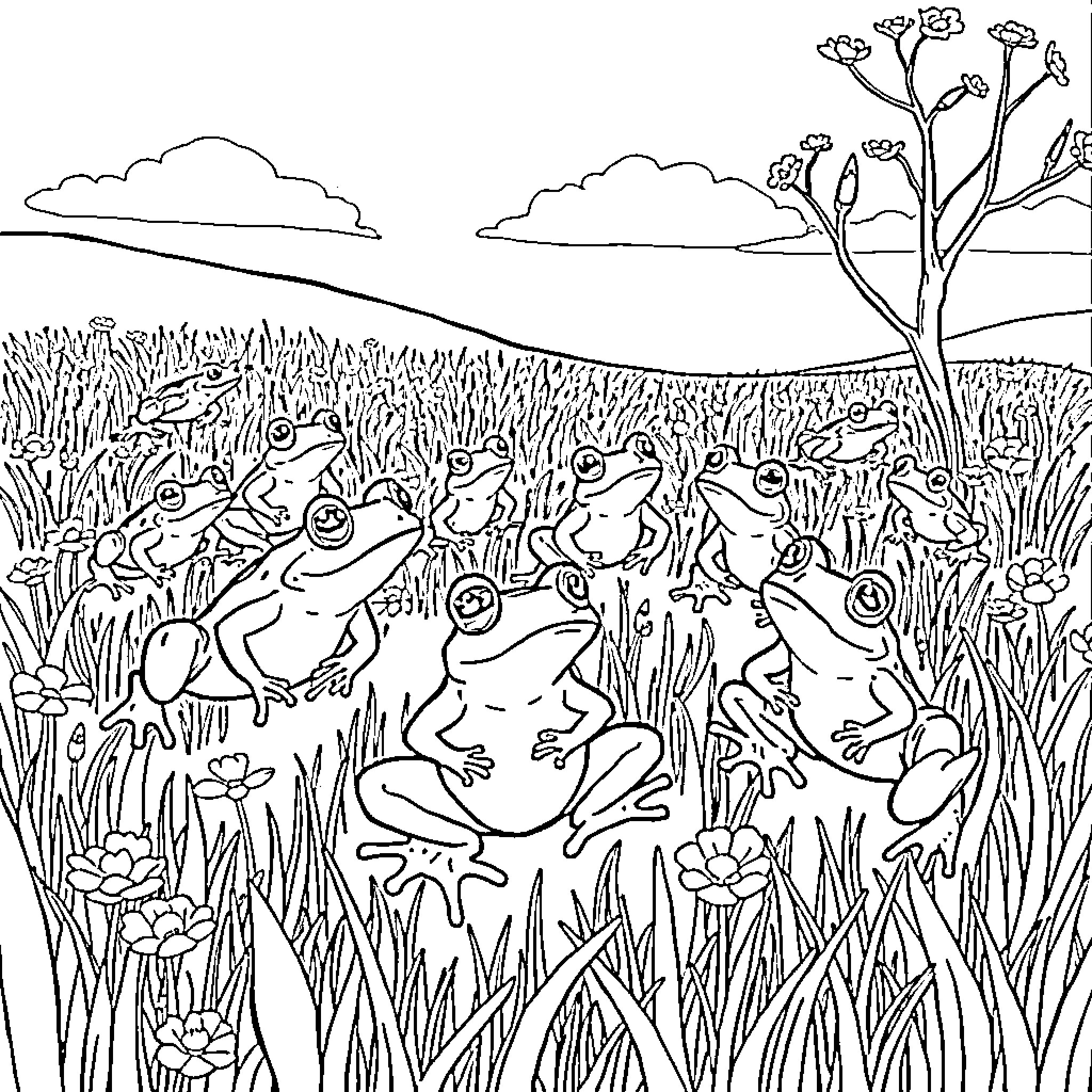 Frog gathering enjoying the meadow Coloring Page (free black-and-white line drawing printable PDF for all, from beginners to advanced learners, including children, teens, adults, and seniors)
