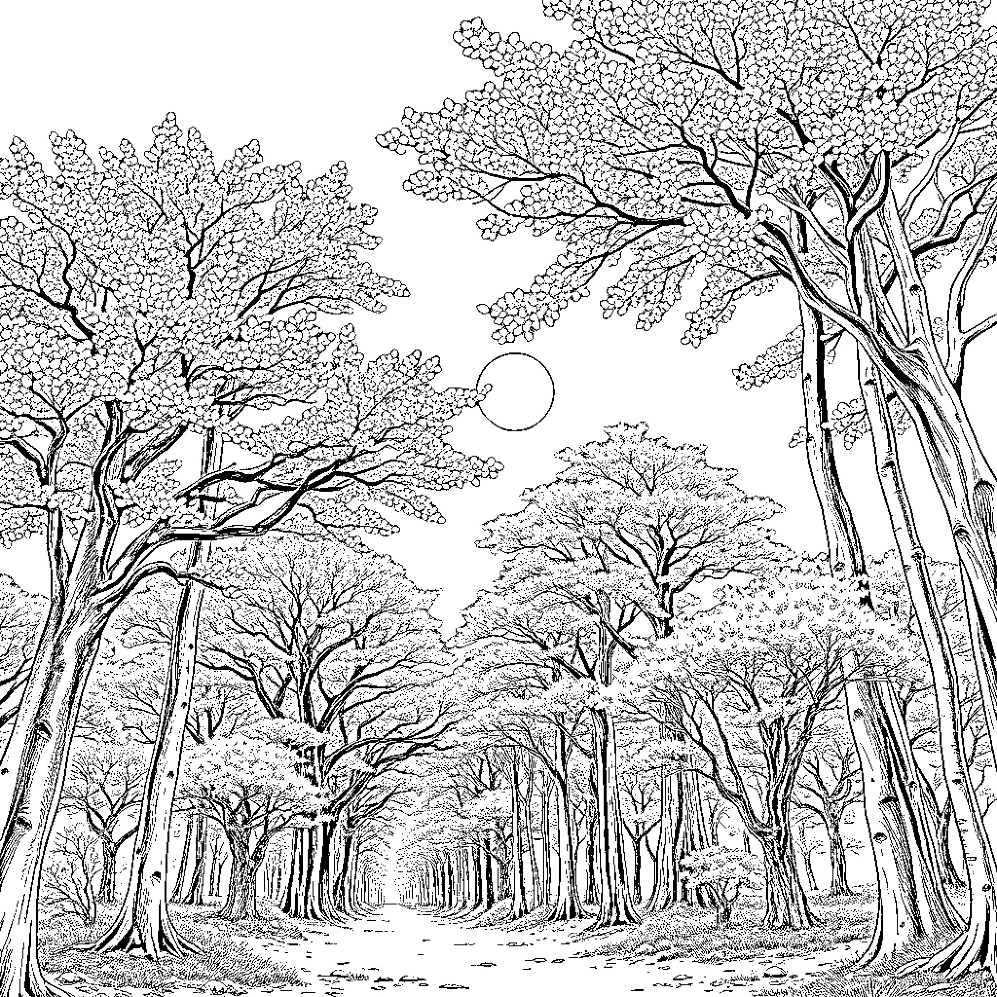 Tree-Lined Path in Serene Forest Landscape Coloring Page (free black-and-white line drawing printable PDF for all, from beginners to advanced learners, including children, teens, adults, and seniors)