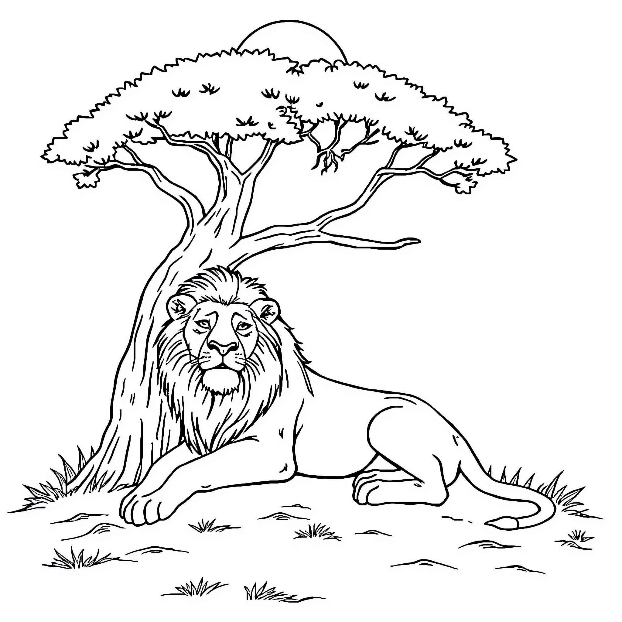 Lion resting under the shaded tree Coloring Page (free black-and-white line drawing printable PDF for all, from beginners to advanced learners, including children, teens, adults, and seniors)