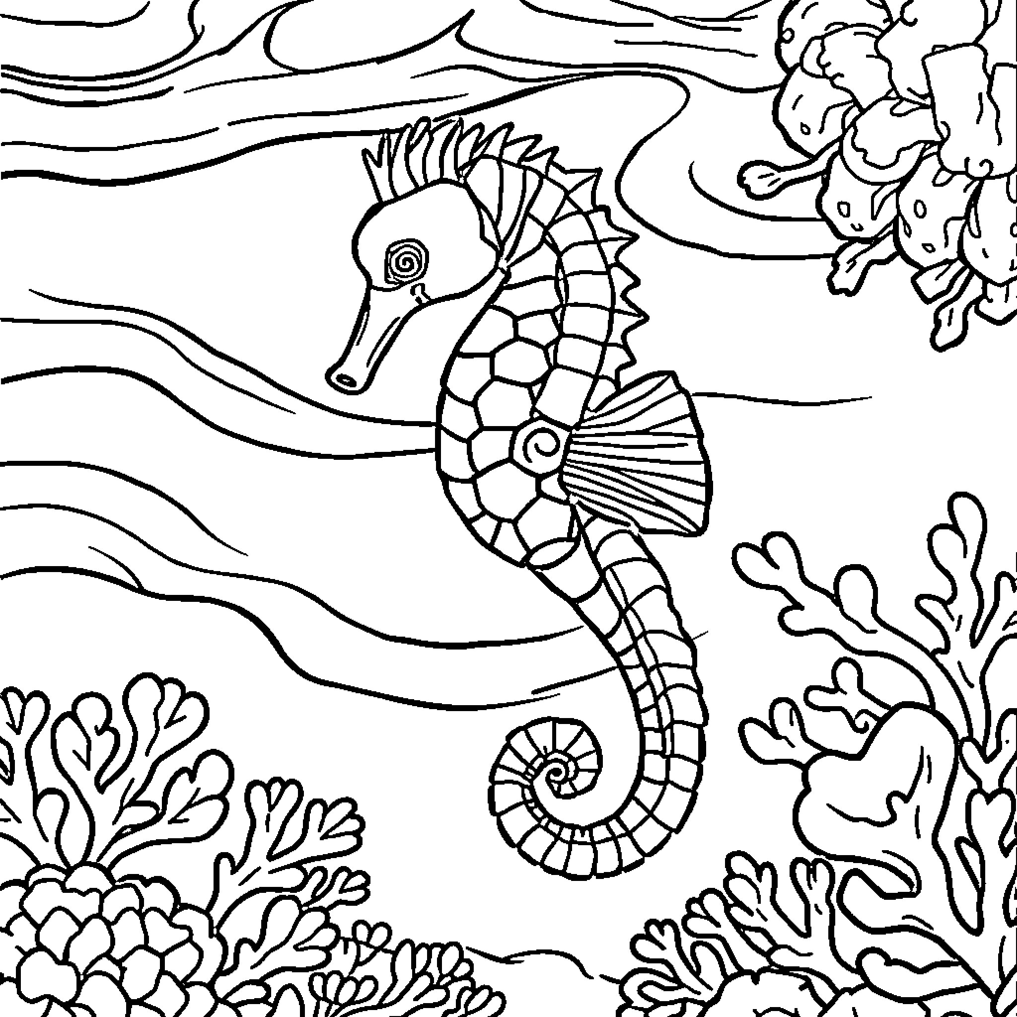 Seahorse swimming among underwater plants and coral Coloring Page (free black-and-white line drawing printable PDF for all, from beginners to advanced learners, including children, teens, adults, and seniors)