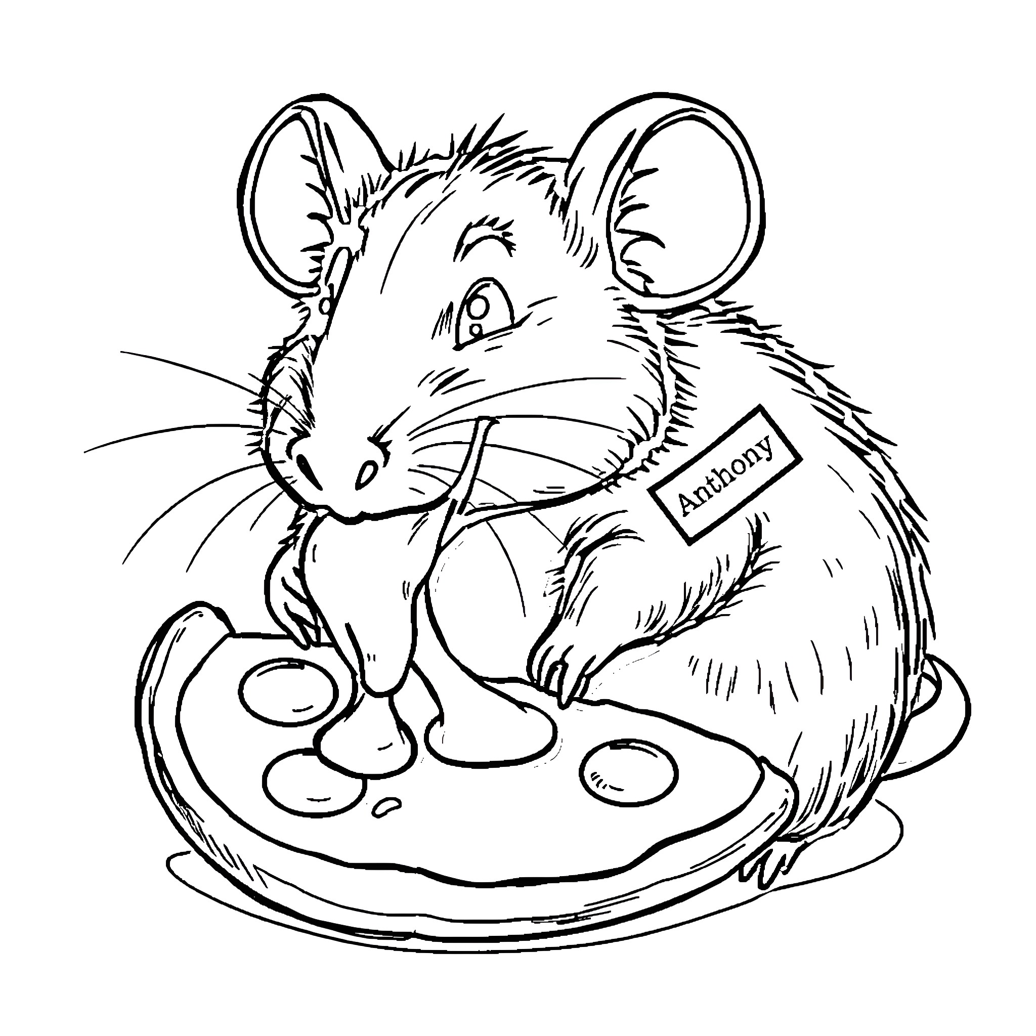 Rat enjoying a tasty snack Coloring Page (free black-and-white line drawing printable PDF for all, from beginners to advanced learners, including children, teens, adults, and seniors)
