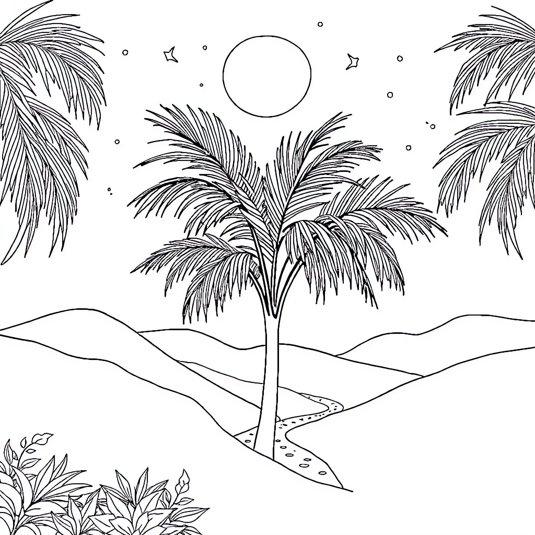Palm trees under the night sky Coloring Page (free black-and-white line drawing printable PDF for all, from beginners to advanced learners, including children, teens, adults, and seniors)
