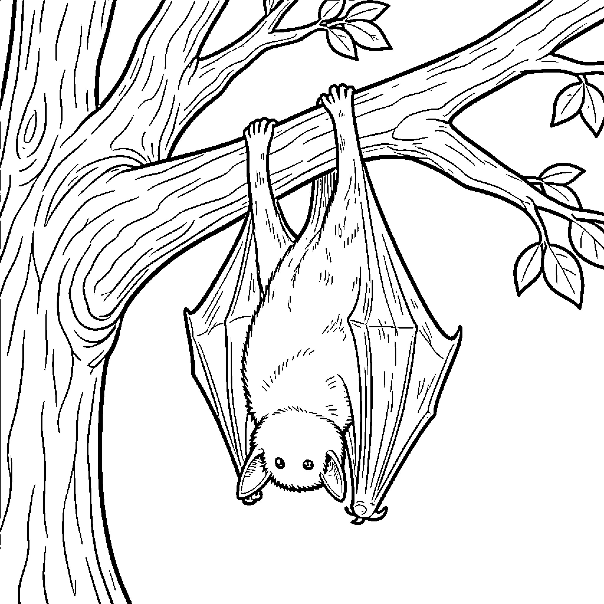 Bat hanging upside down on a tree Coloring Page (free black-and-white line drawing printable PDF for all, from beginners to advanced learners, including children, teens, adults, and seniors)