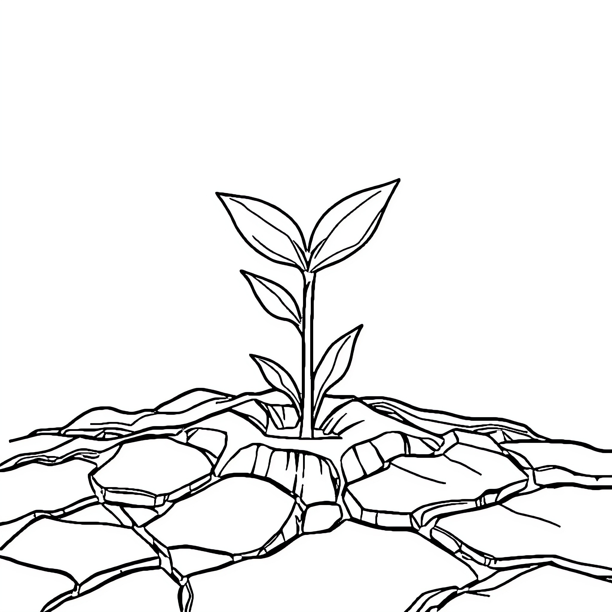 Plant growing through cracked ground Coloring Page (free black-and-white line drawing printable PDF for all, from beginners to advanced learners, including children, teens, adults, and seniors)