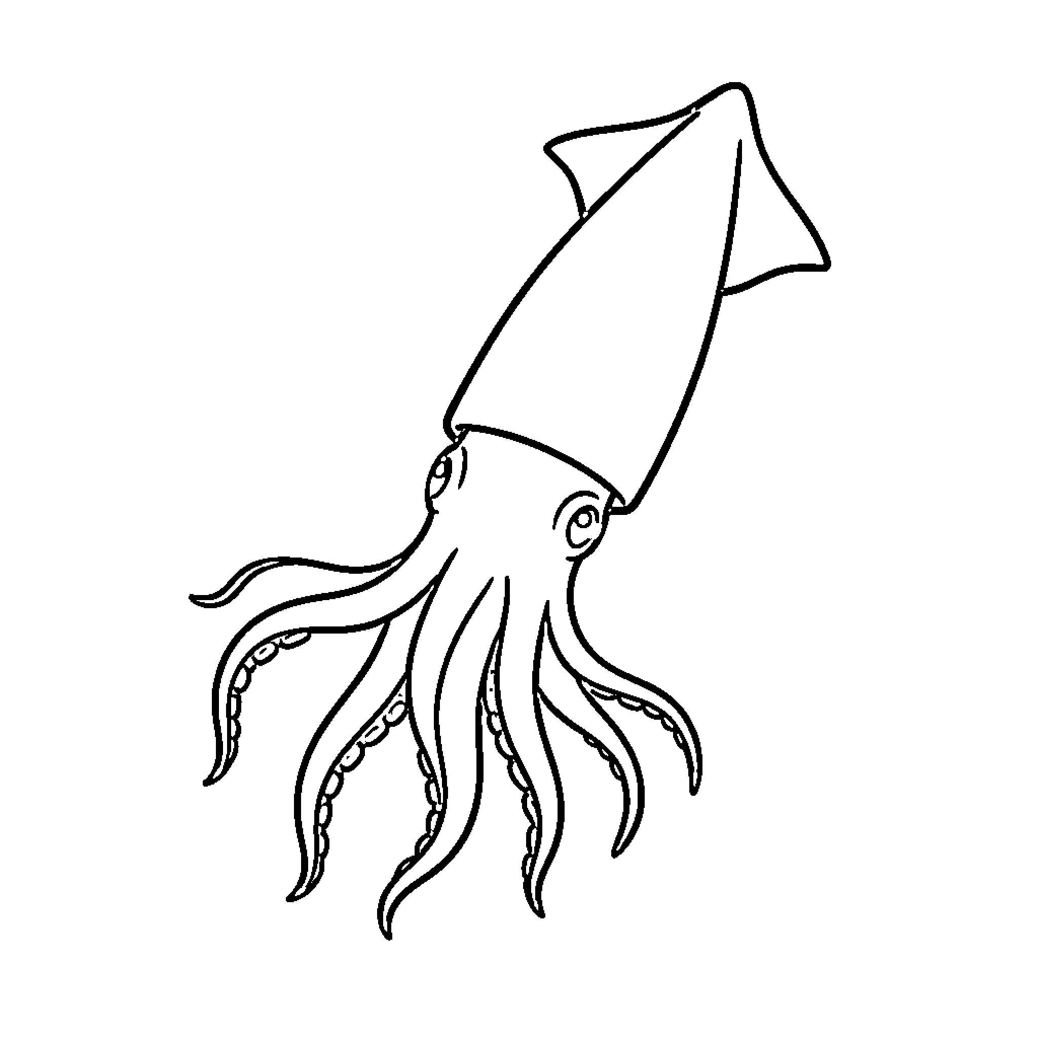 Squid swimming gracefully through the ocean Coloring Page (free black-and-white line drawing printable PDF for all, from beginners to advanced learners, including children, teens, adults, and seniors)