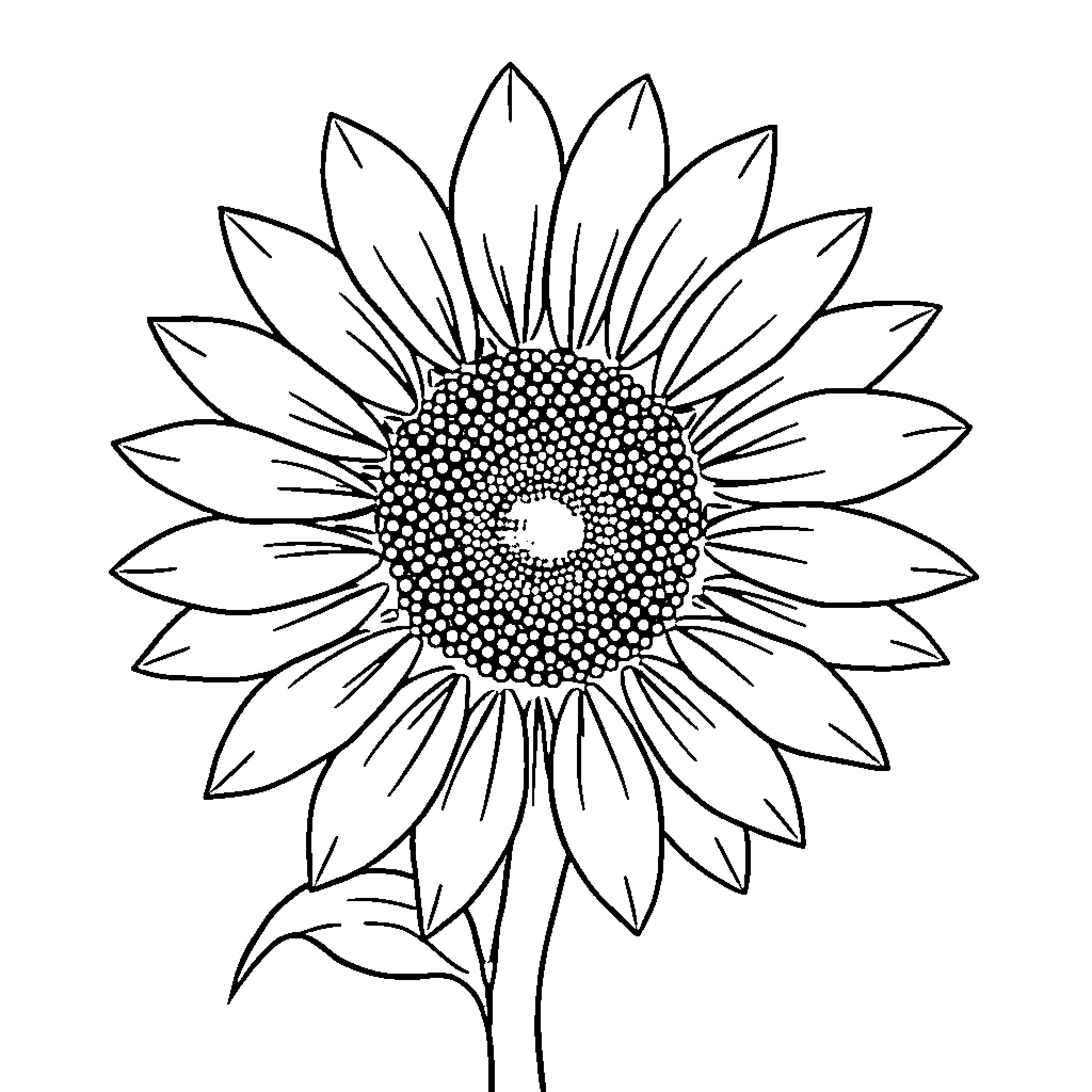 Sunflower in Bloom Coloring Page (free black-and-white line drawing printable PDF for all, from beginners to advanced learners, including children, teens, adults, and seniors)