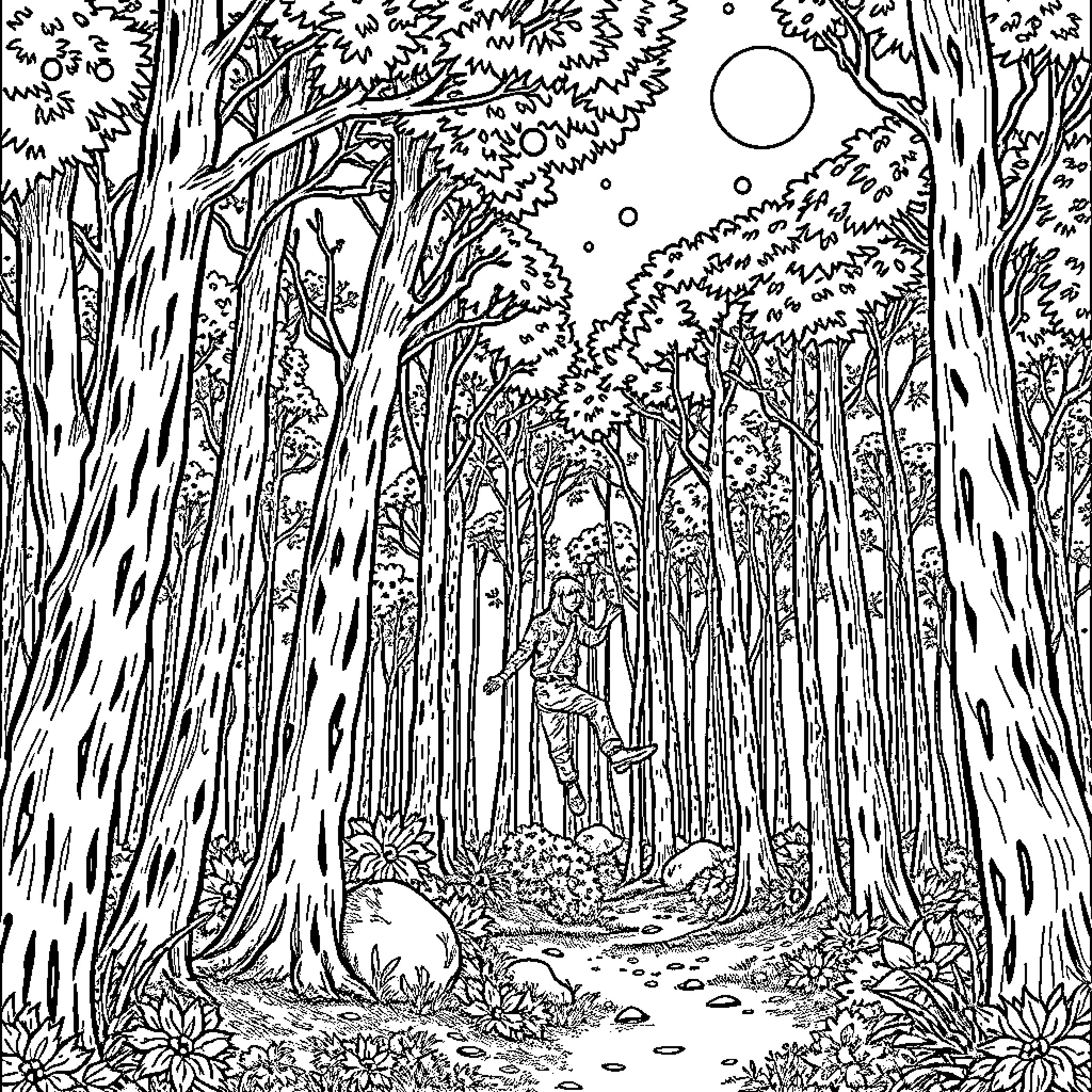 Bird Wandering Through Enchanted Forest Coloring Page (free black-and-white line drawing printable PDF for all, from beginners to advanced learners, including children, teens, adults, and seniors)