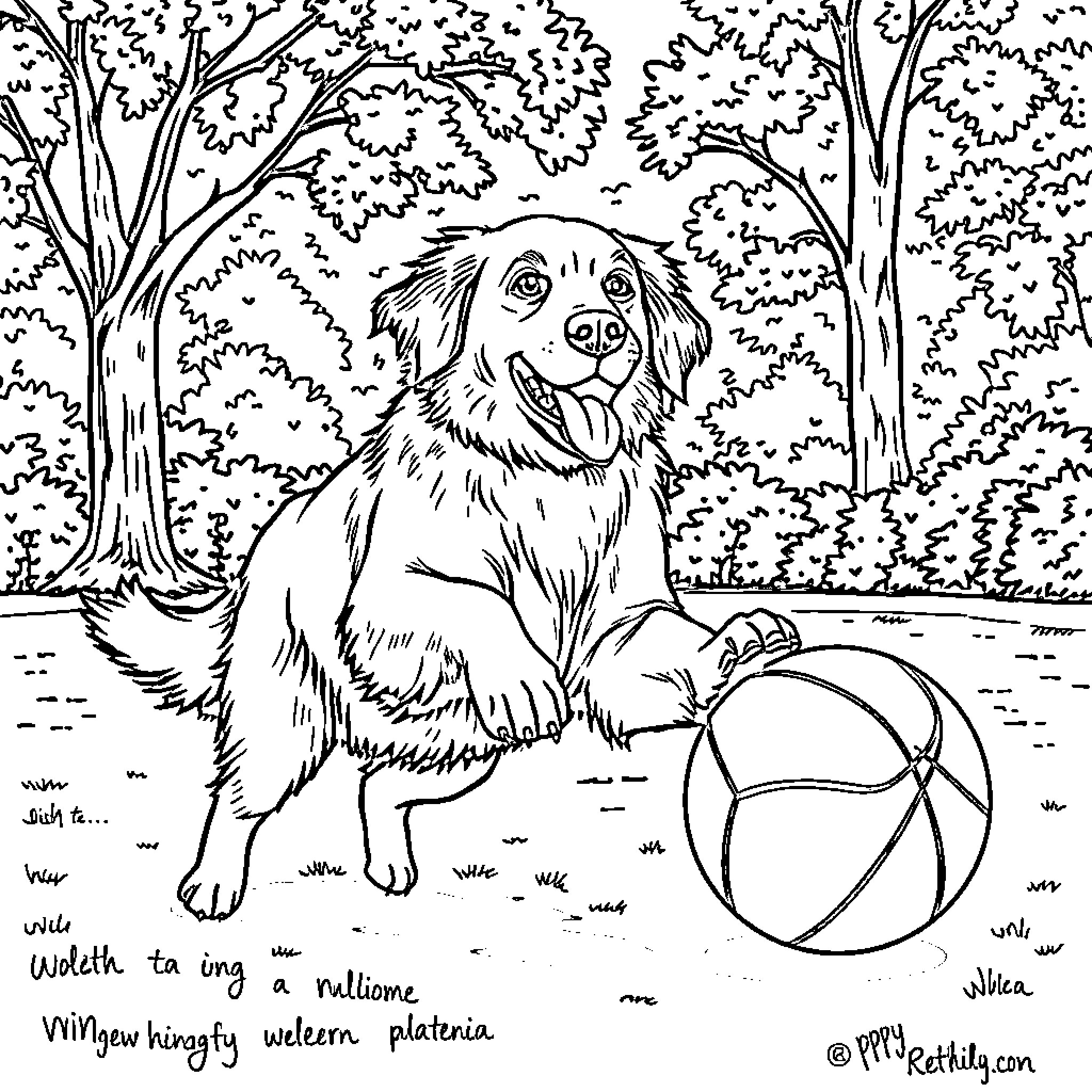 Golden Retriever playing joyfully with ball in forest Coloring Page (free black-and-white line drawing printable PDF for all, from beginners to advanced learners, including children, teens, adults, and seniors)