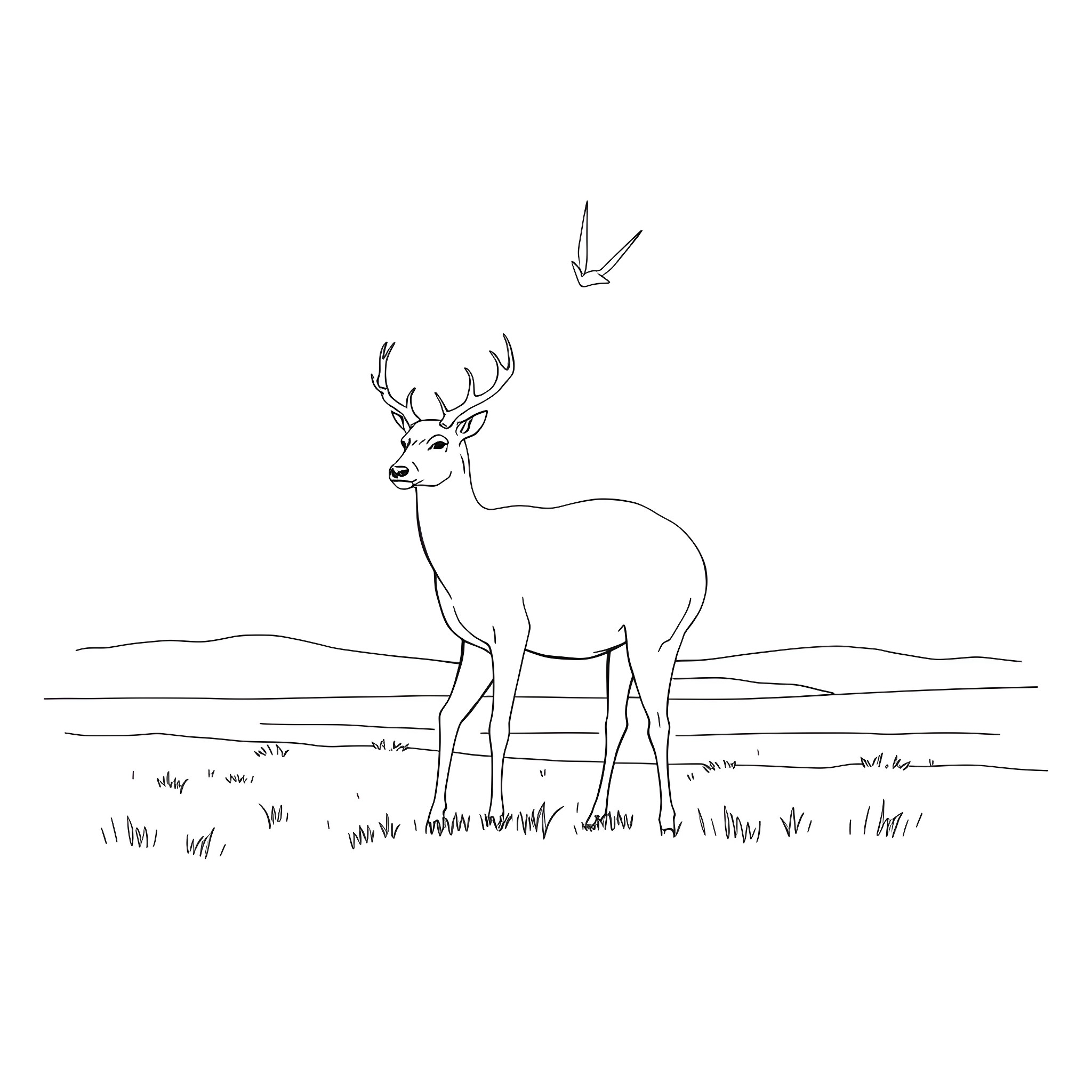 Deer standing alone in the field Coloring Page (free black-and-white line drawing printable PDF for all, from beginners to advanced learners, including children, teens, adults, and seniors)
