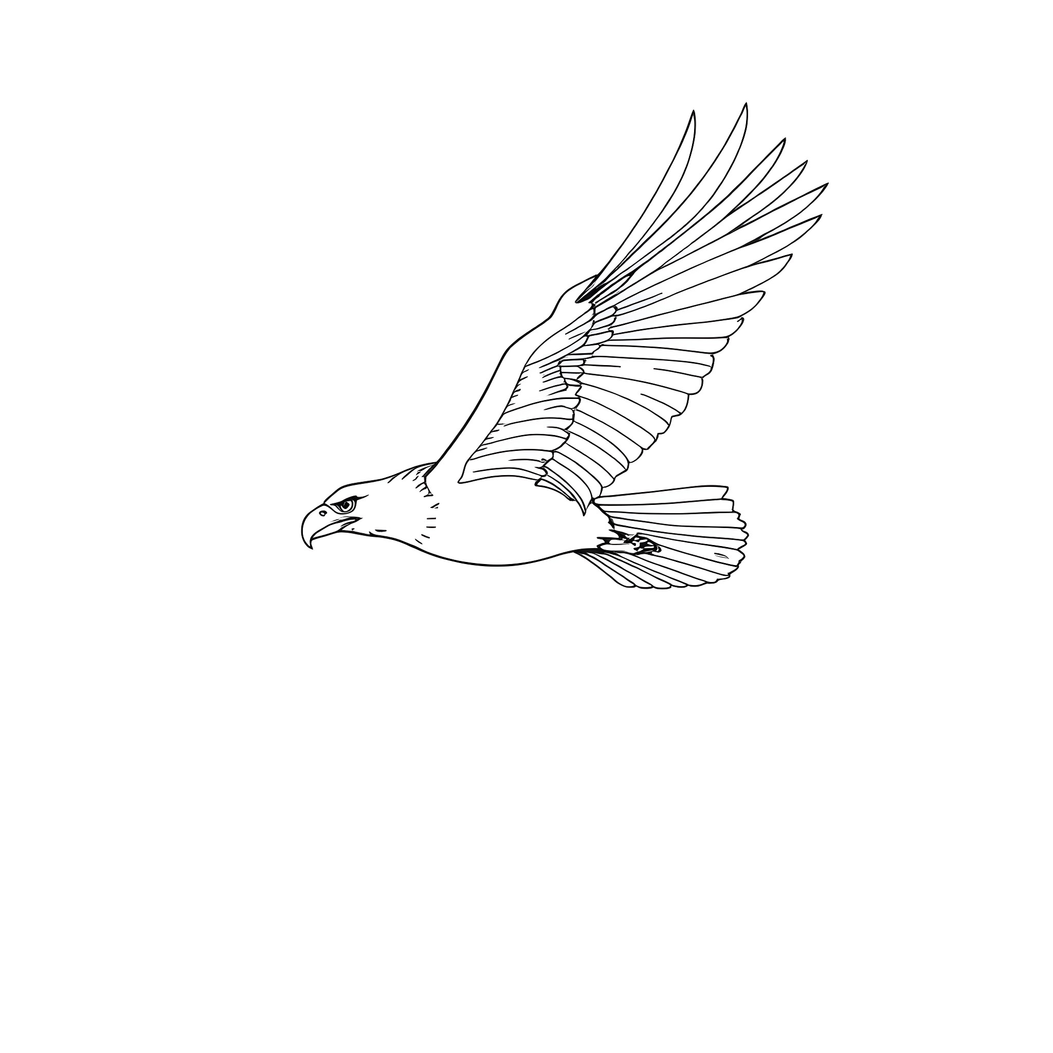 Eagle in flight Coloring Page (free black-and-white line drawing printable PDF for all, from beginners to advanced learners, including children, teens, adults, and seniors)