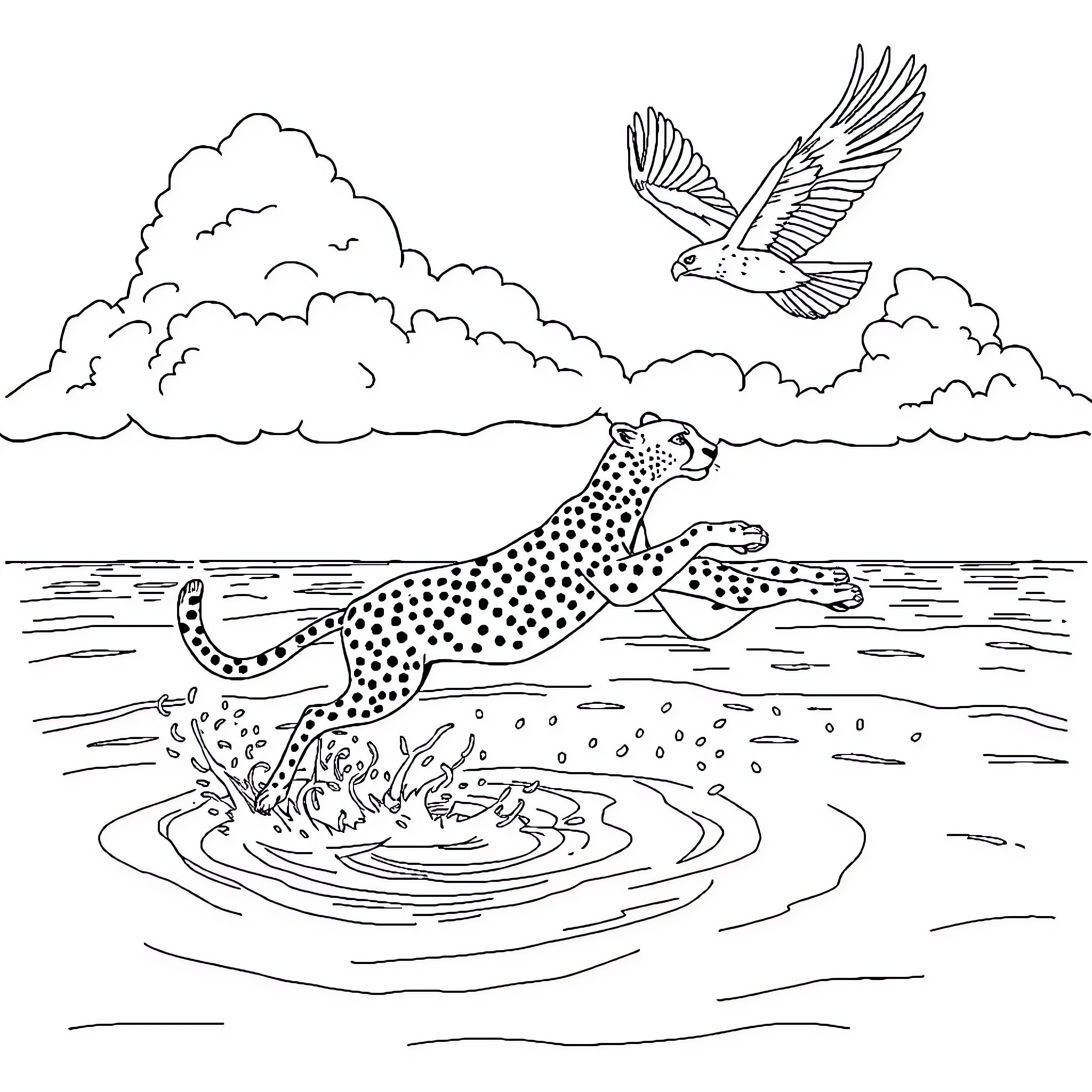 Cheetah chasing prey through the water Coloring Page (free black-and-white line drawing printable PDF for all, from beginners to advanced learners, including children, teens, adults, and seniors)
