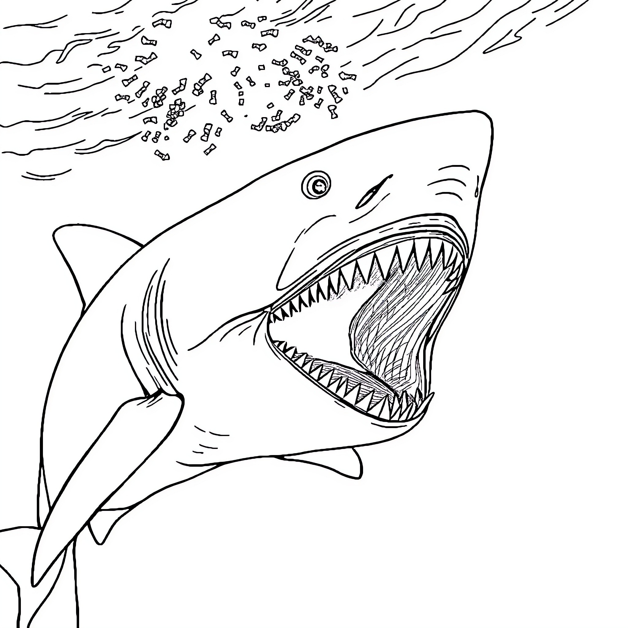 Shark with open mouth attacking Coloring Page (free black-and-white line drawing printable PDF for all, from beginners to advanced learners, including children, teens, adults, and seniors)