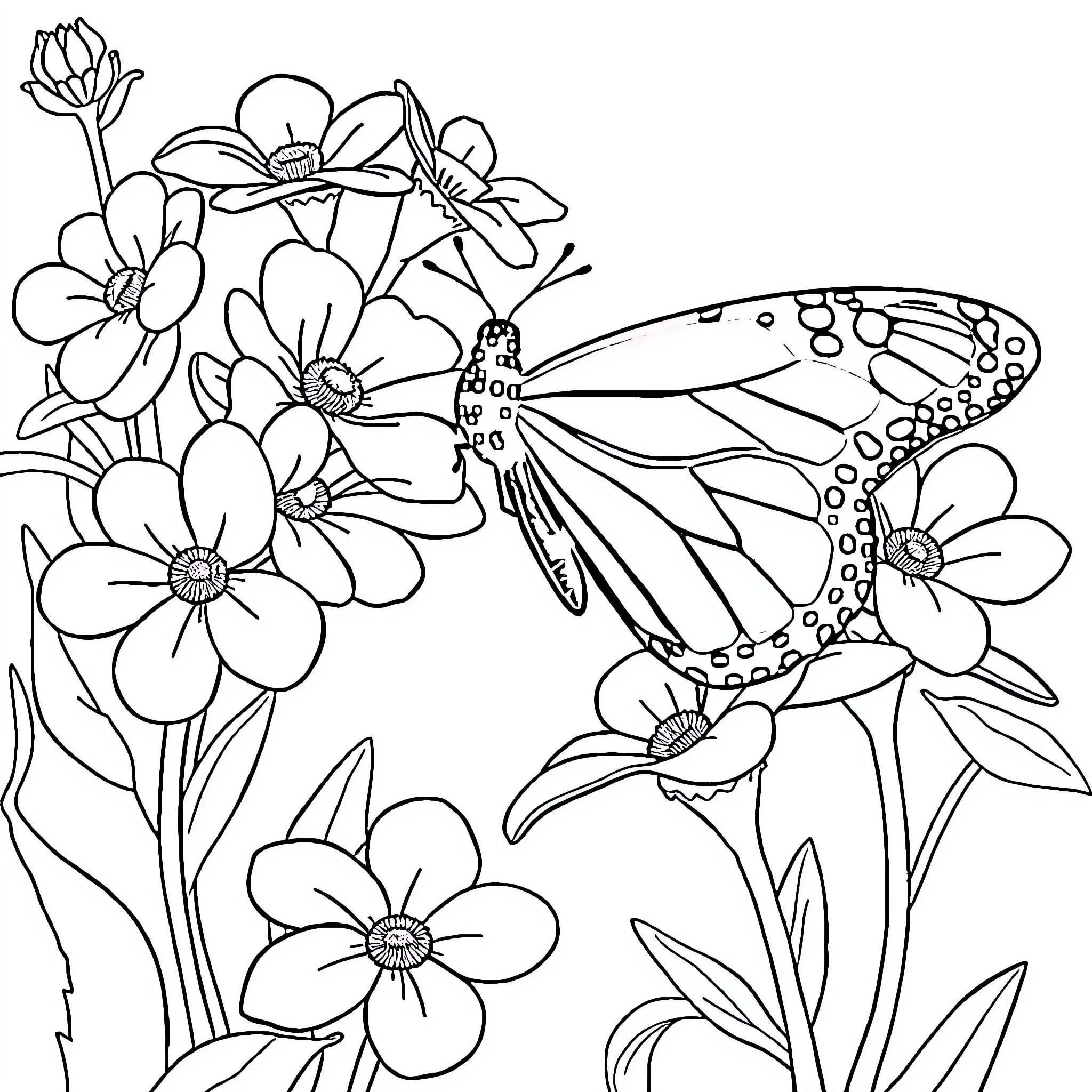 Monarch Butterfly resting on floral arrangement Coloring Page (free black-and-white line drawing printable PDF for all, from beginners to advanced learners, including children, teens, adults, and seniors)
