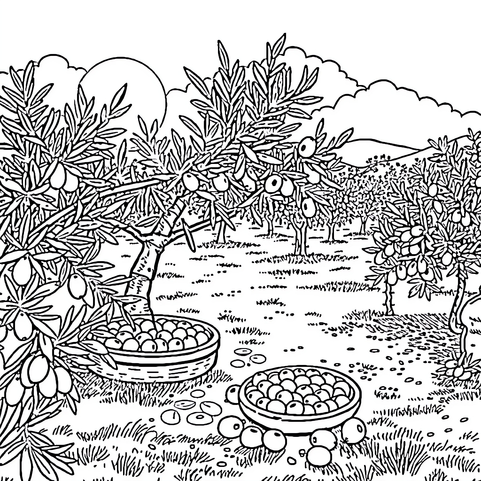 Olive Garden Harvest Bounty Coloring Page (free black-and-white line drawing printable PDF for all, from beginners to advanced learners, including children, teens, adults, and seniors)