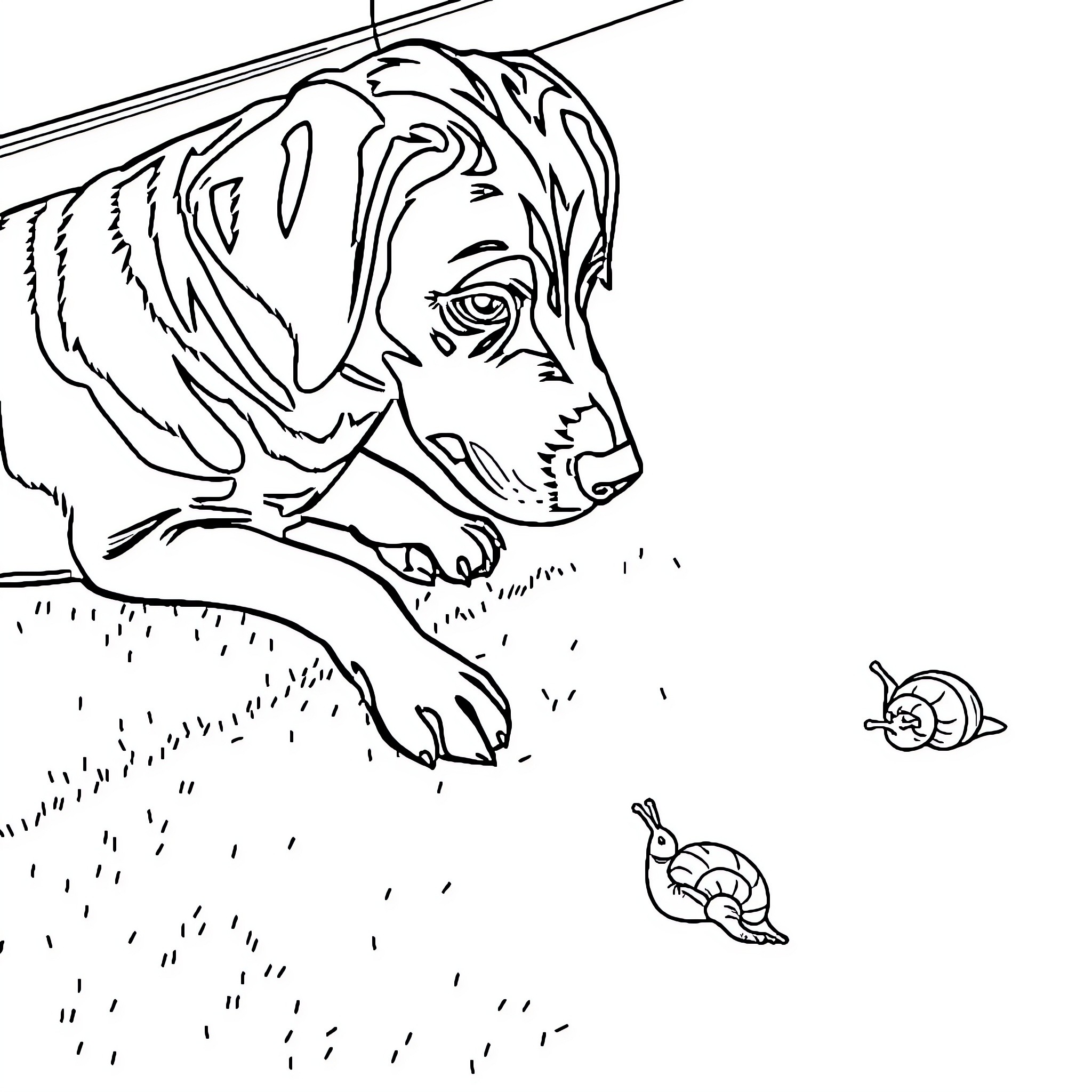 Lab dog chasing playful snails in the yard Coloring Page (free black-and-white line drawing printable PDF for all, from beginners to advanced learners, including children, teens, adults, and seniors)