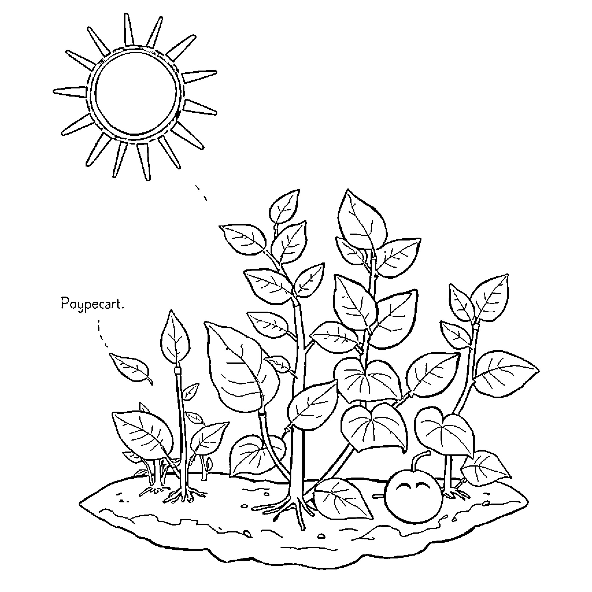 Photosynthesis in the Garden Coloring Page (free black-and-white line drawing printable PDF for all, from beginners to advanced learners, including children, teens, adults, and seniors)