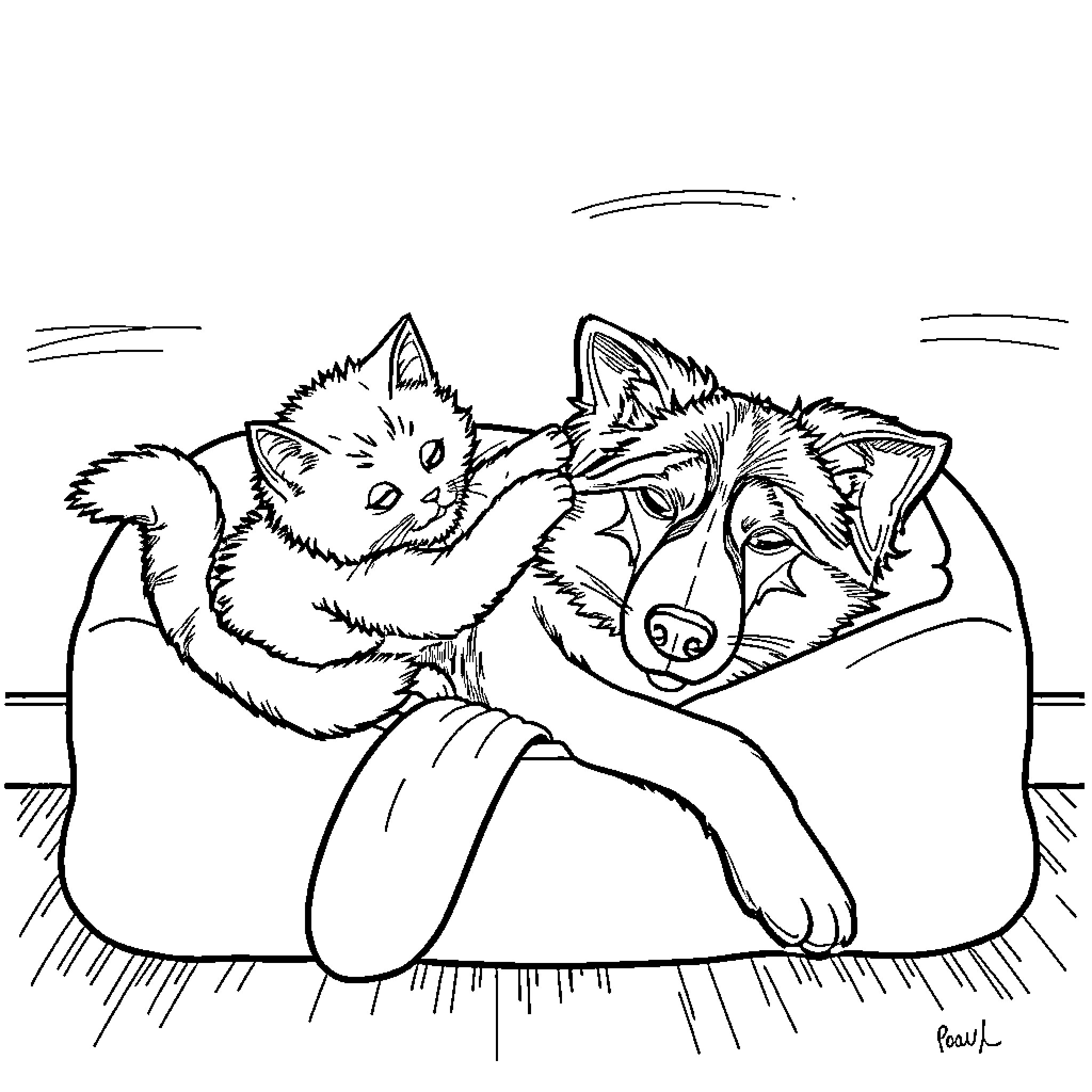 Cat cuddling with dog on cozy bed Coloring Page (free black-and-white line drawing printable PDF for all, from beginners to advanced learners, including children, teens, adults, and seniors)